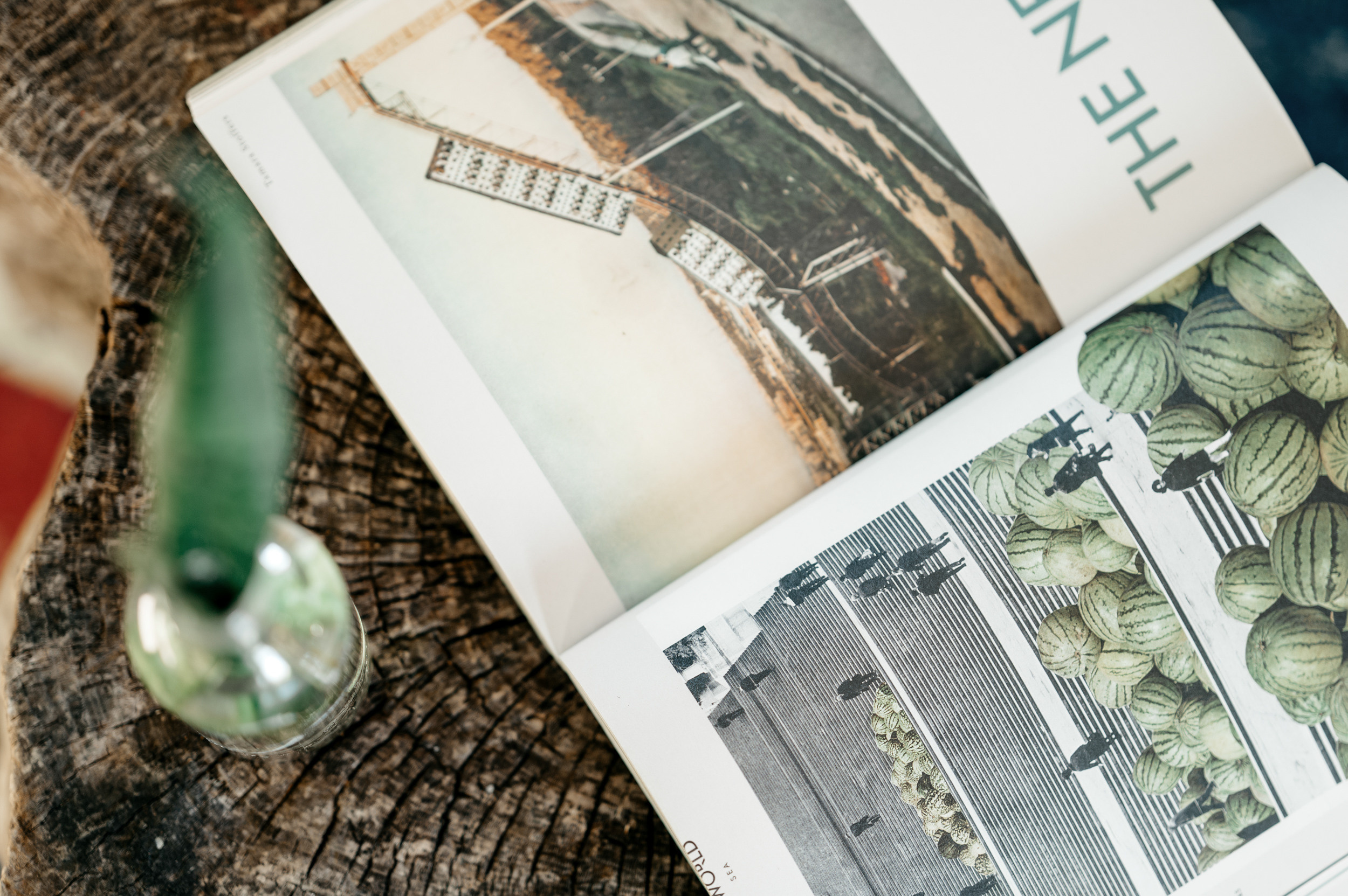 СВЕТА И ЖЕНЯ. Свадебный и семейный фотограф Никита Корохов