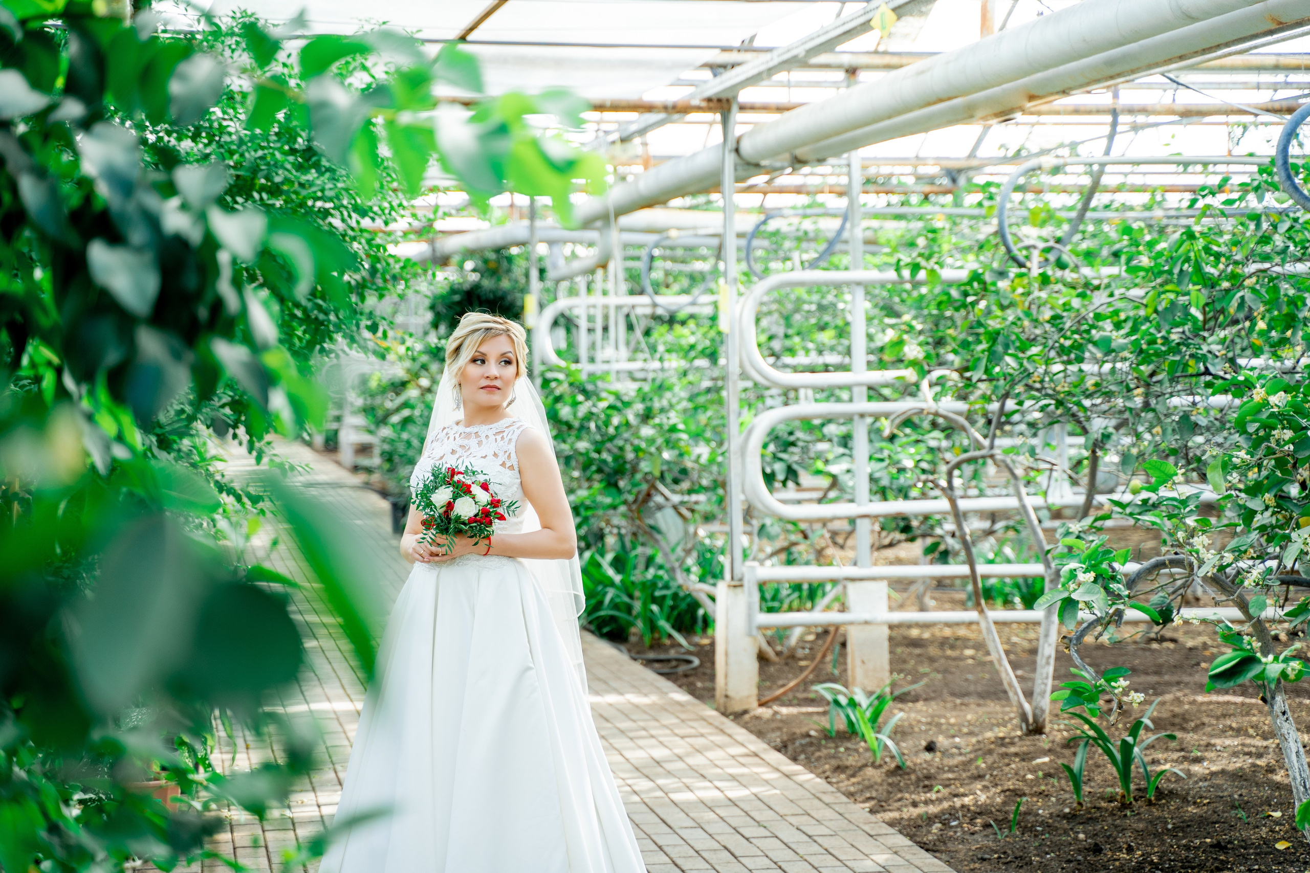 В Лимонарие. Свадебный и репортажный фотограф в Уфе| Осетрова Ольга
