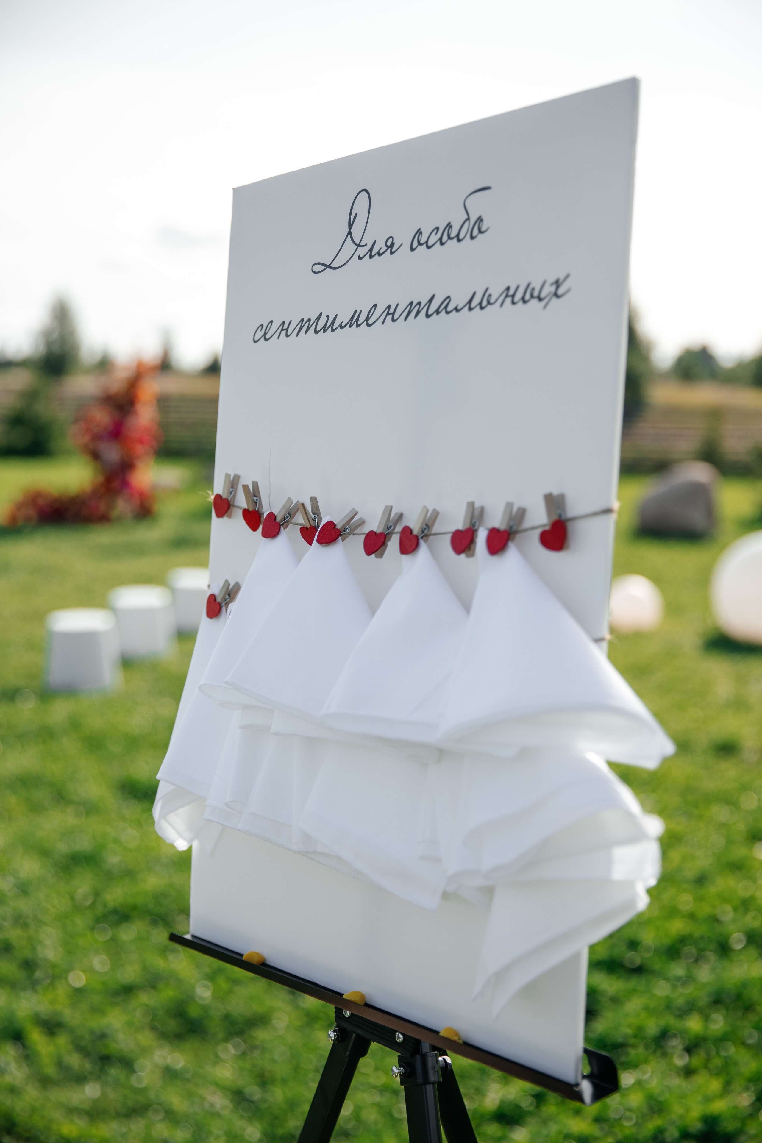 Nikita & Sofia. Фотограф Анжелика Кварц. Санкт-Петербург, Wedding Photographer in Spain, France, Italy, Montenegro