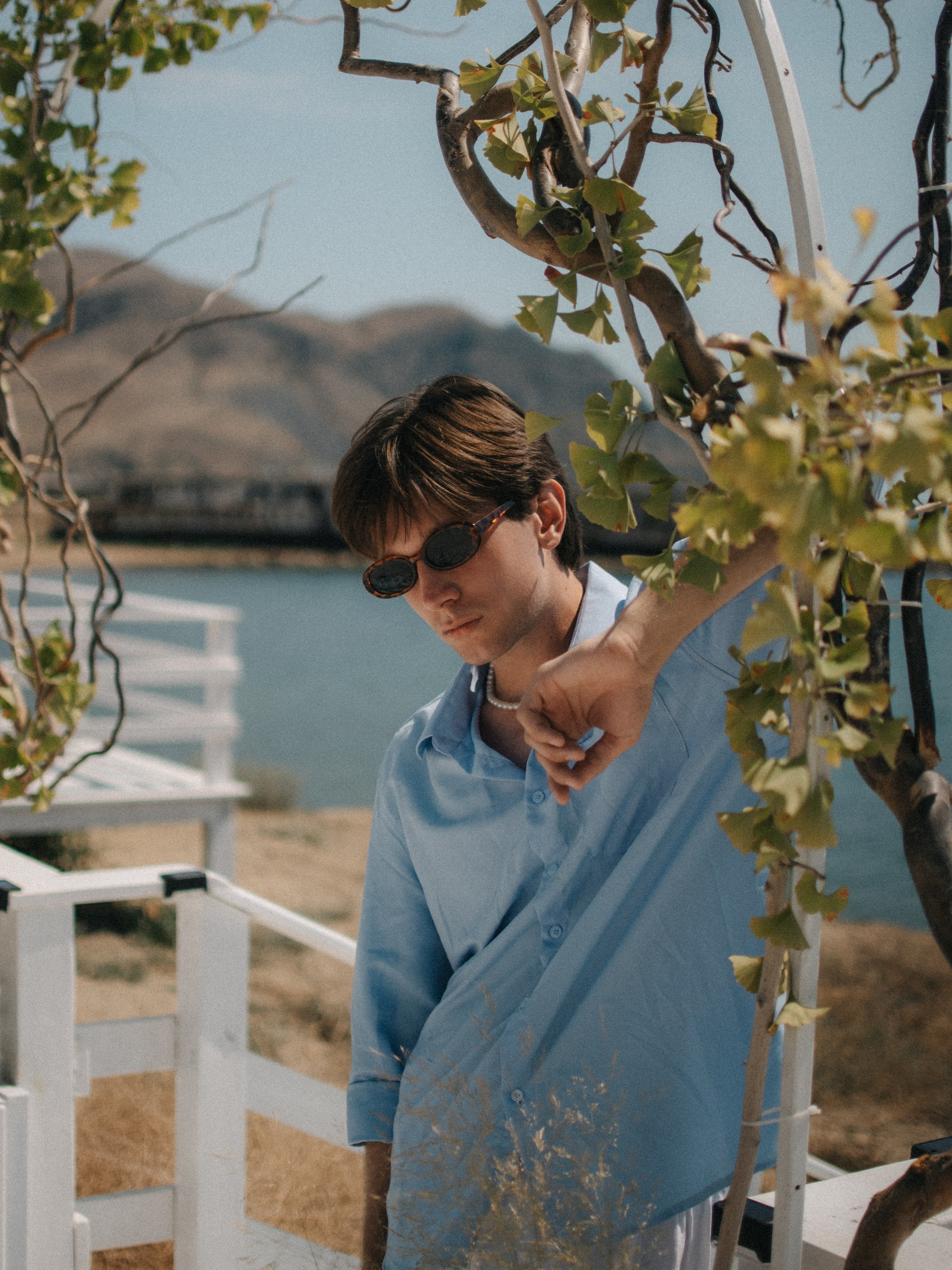 Вася. Ph.proulints