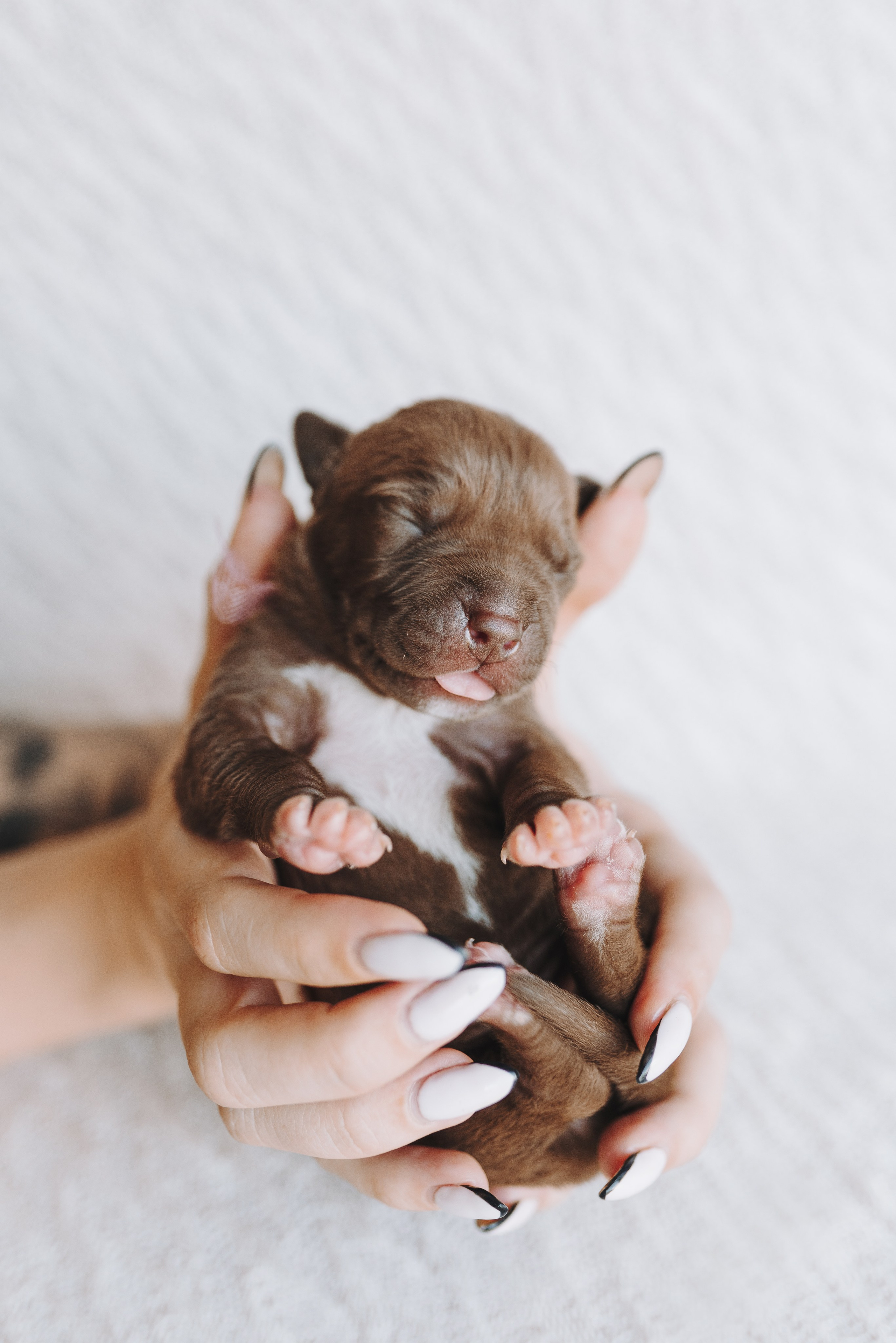 Прайтеры. Фотограф анималист Осипчикова Мария
