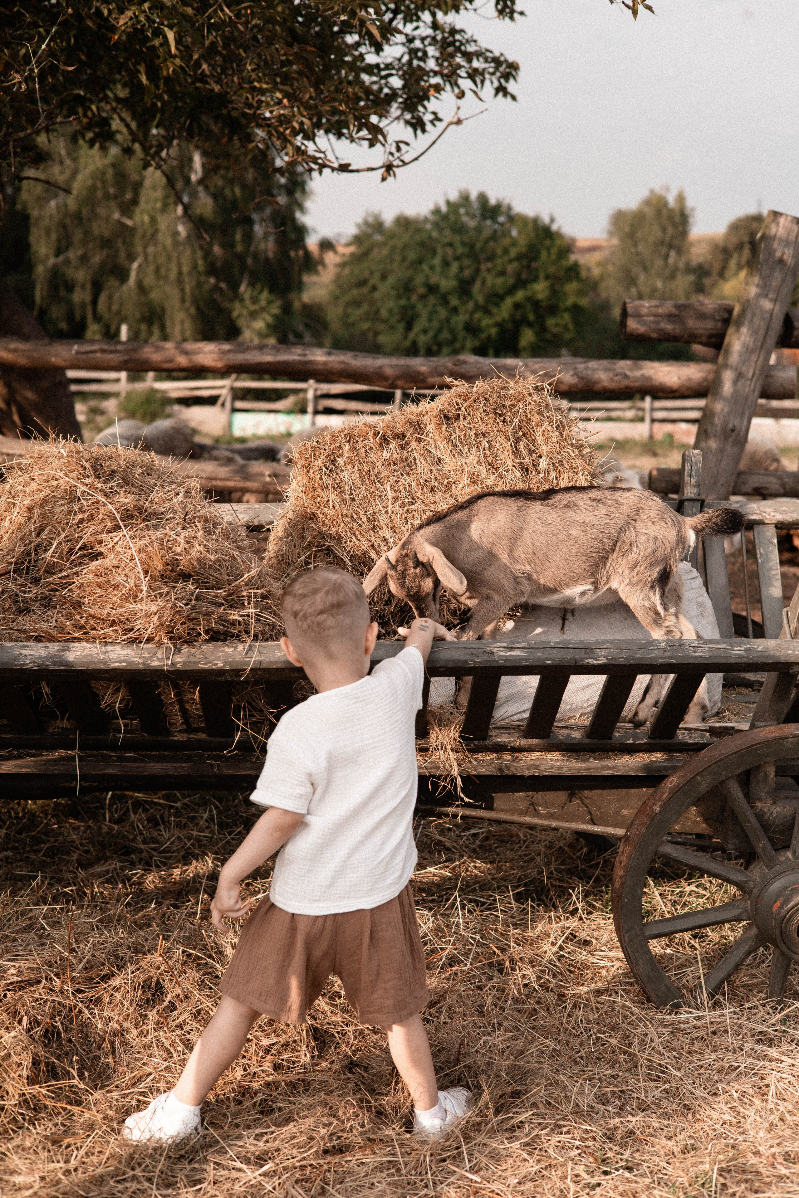 Давид, Настя и Дима. Свадебный и портретный фотограф Соломко Диана
