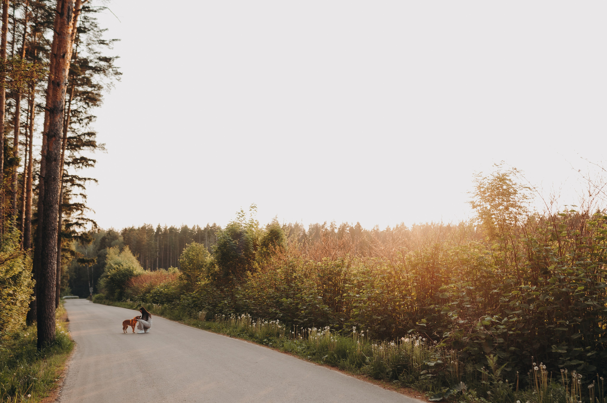 Яна и Санька. Главная