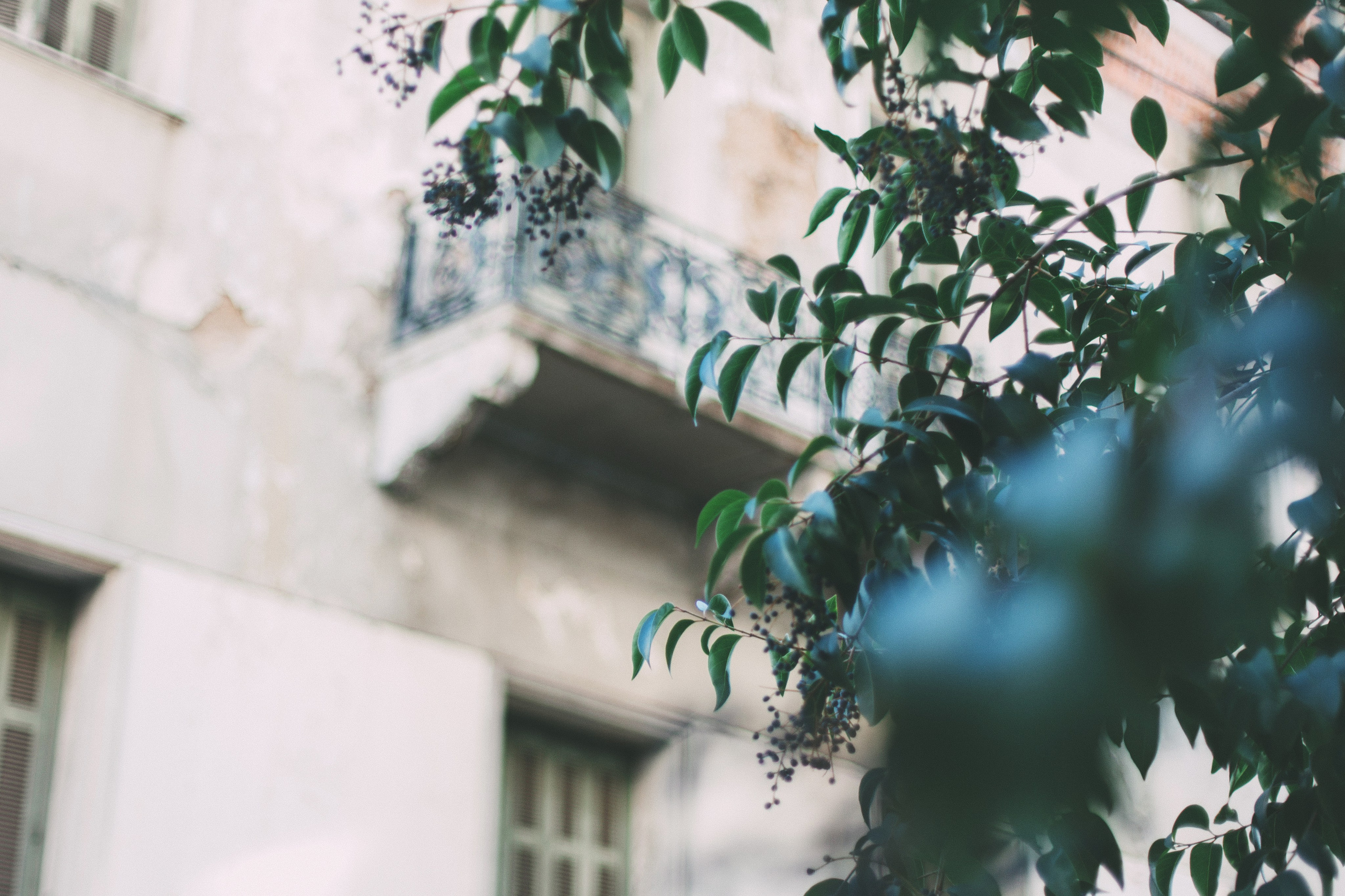 Афины. Аня Степанова