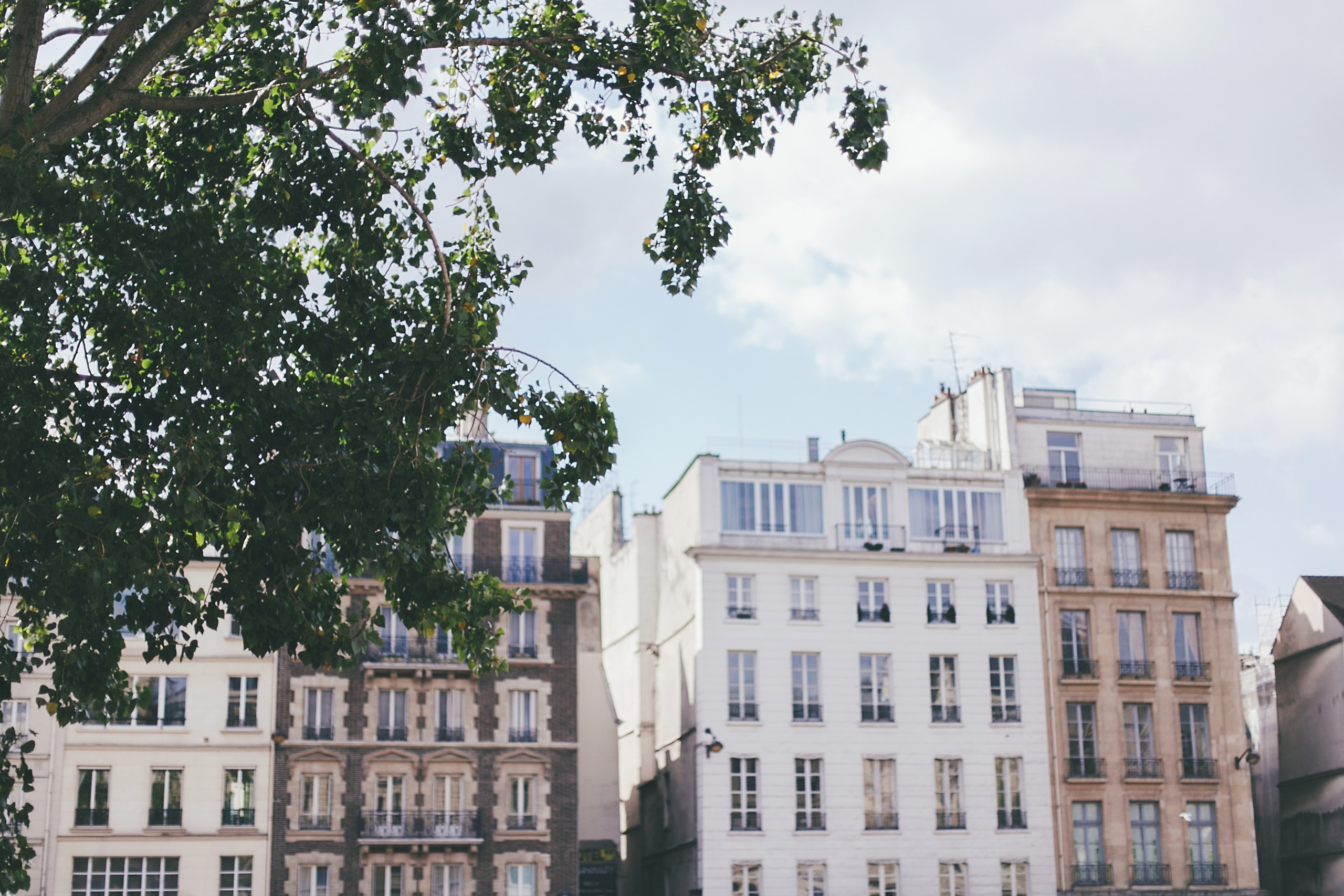 Париж. Аня Степанова