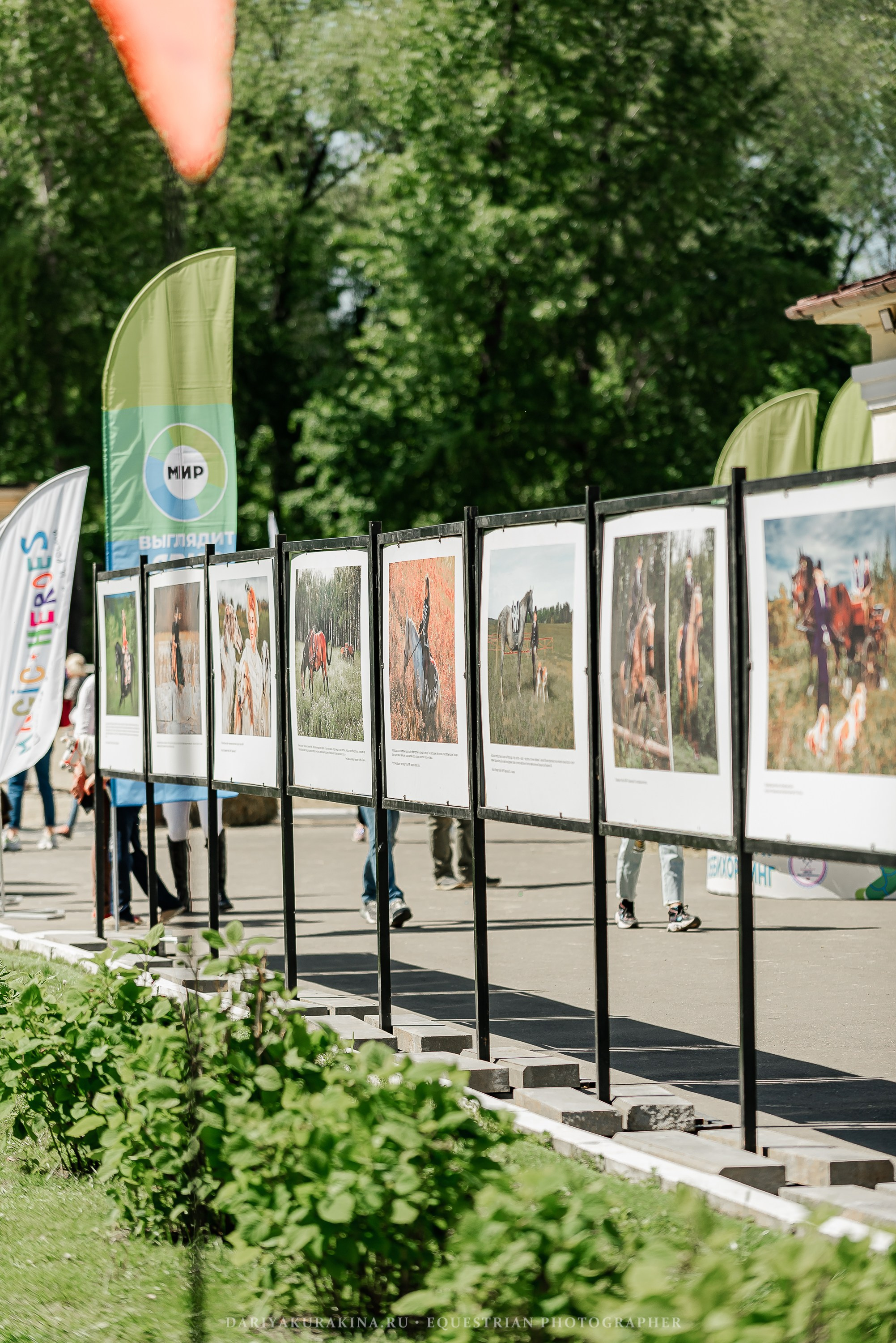#ПОНИФОРУМ 2024. Конный фотограф Куракина Дарья • Фотосессии с лошадьми
