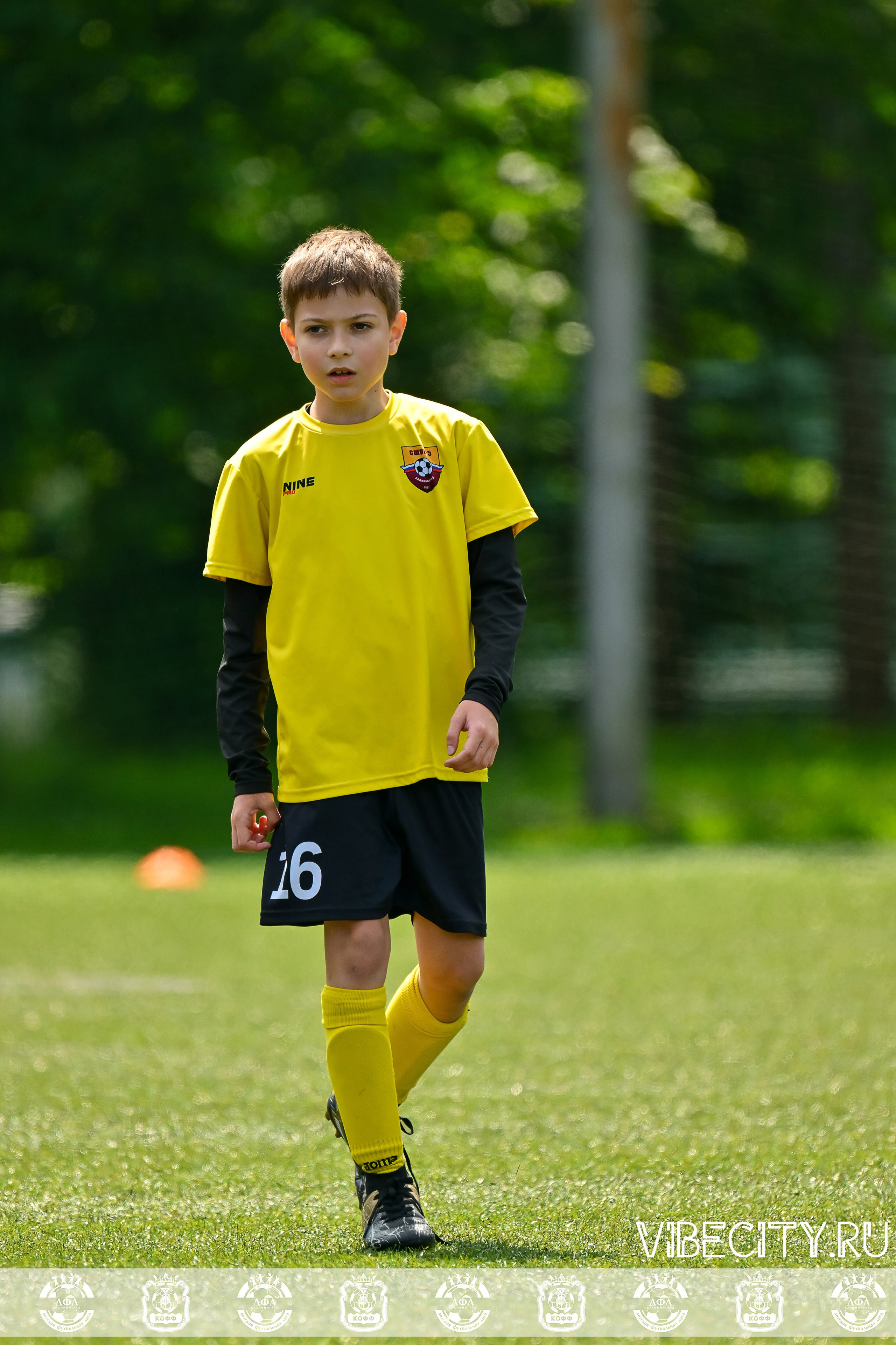 Большие Звезды светят Малым. VIBECITY.RU Вайб Сити Ру Фоторепортажи Фотоотчеты Калининград