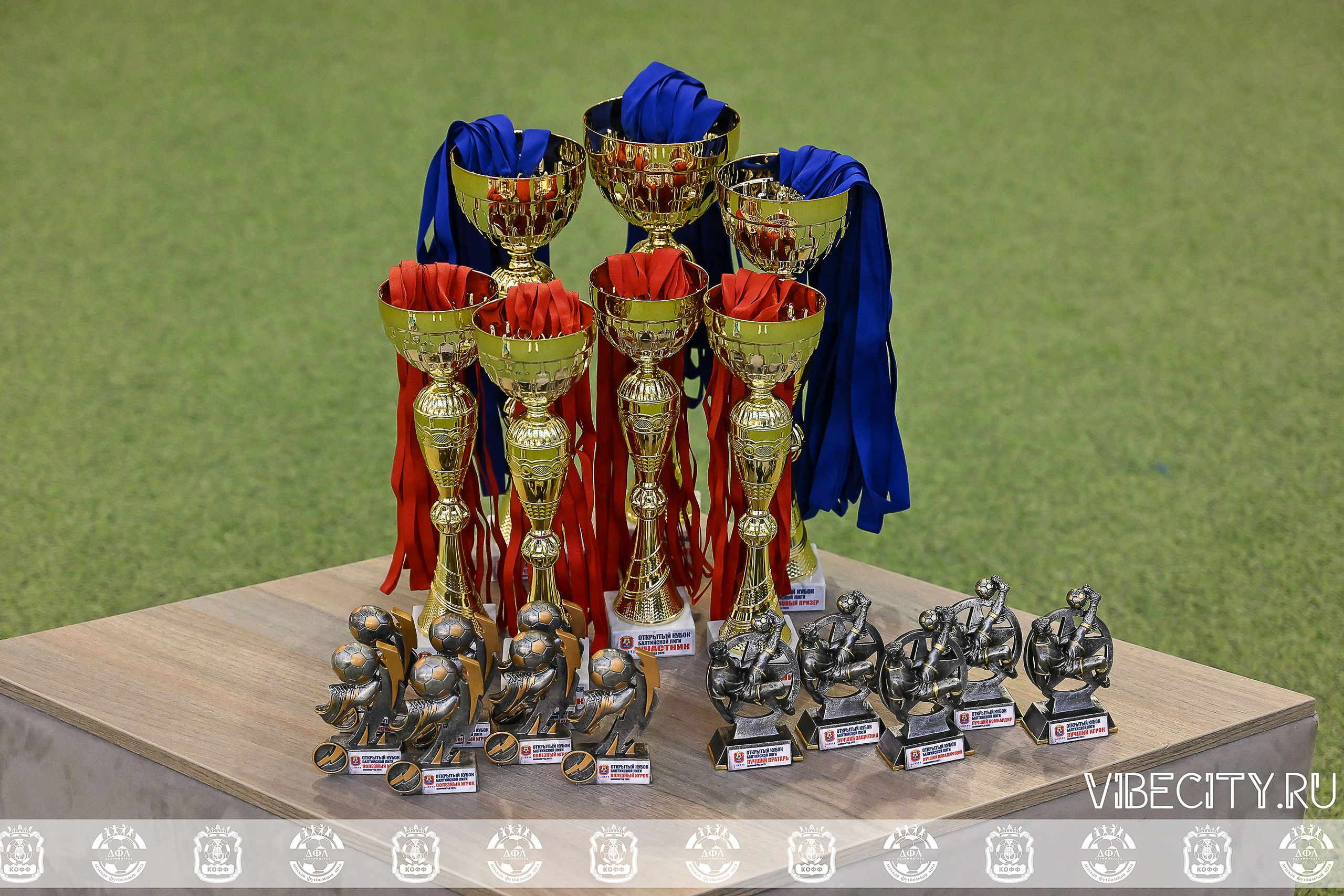 КУБОК БАЛТИЙСКОЙ ЛИГИ U6. VIBECITY.RU Вайб Сити Ру Фоторепортажи Фотоотчеты Калининград