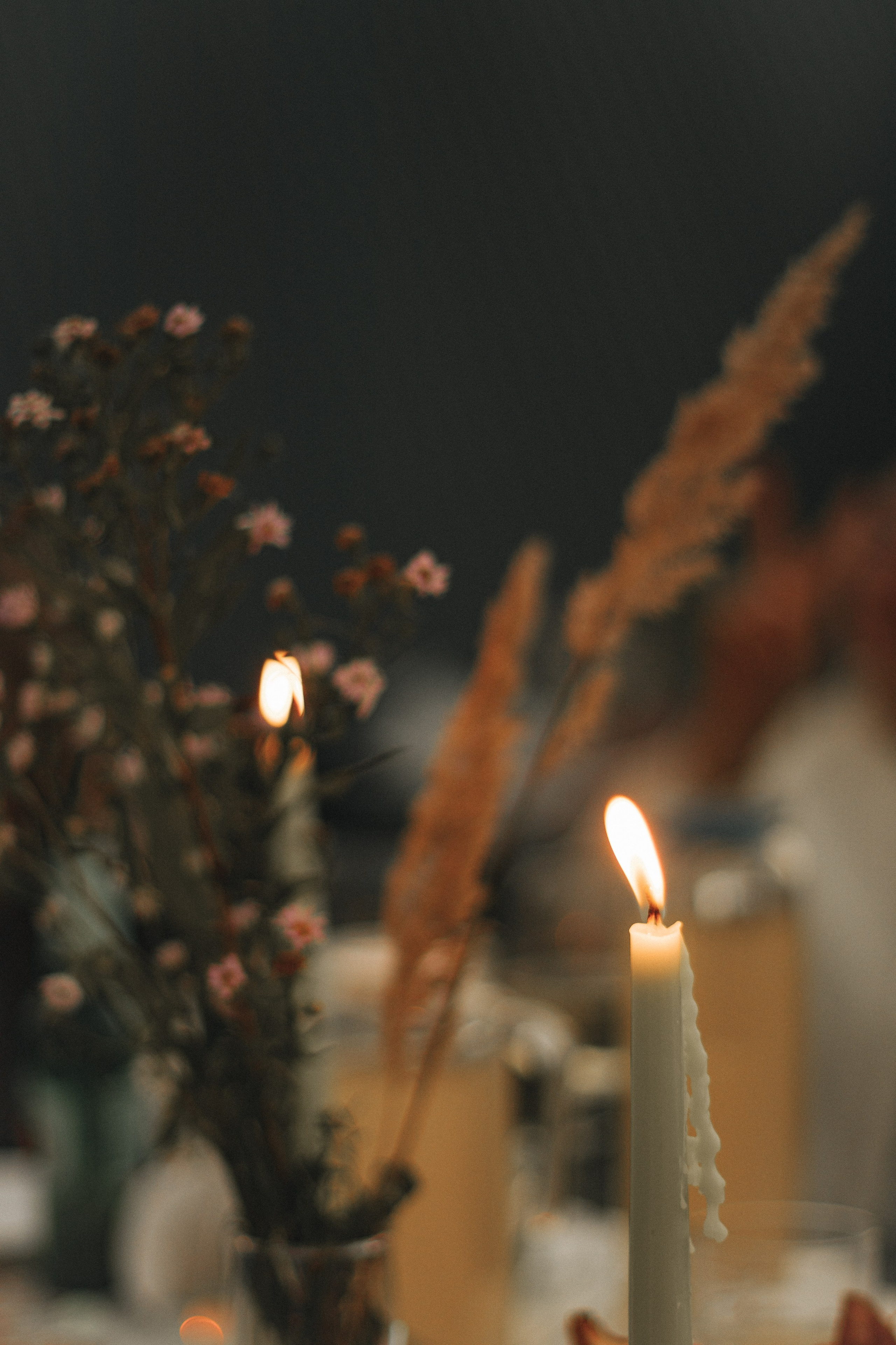 Праздники. Фотограф в Москве и Московской области — Акулина Софья