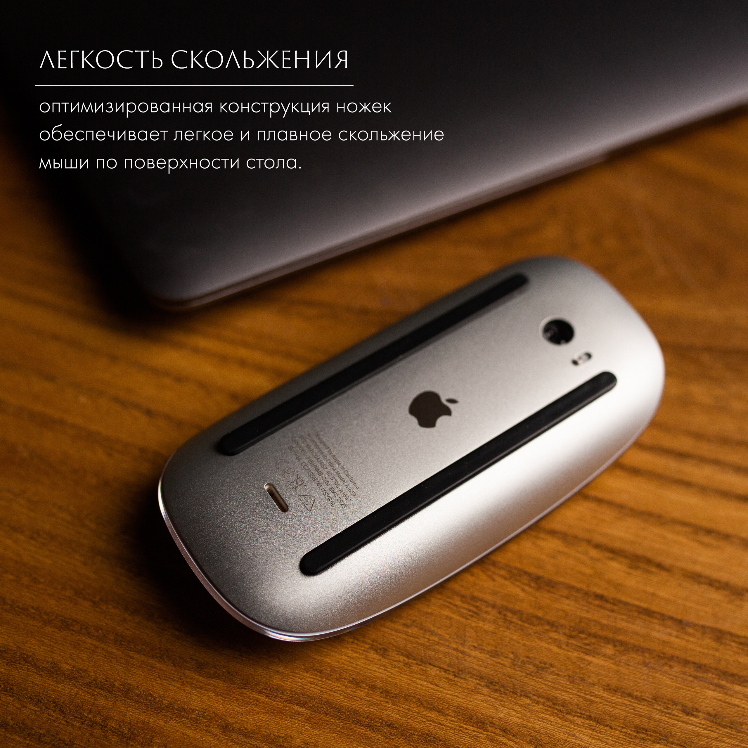 WB Ozon. Контент–фотограф | Леся Лесная