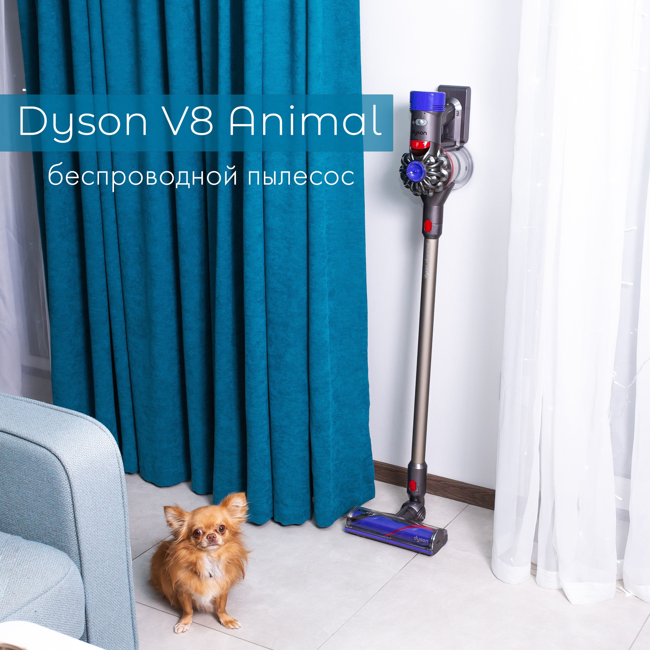 WB Ozon. Контент–фотограф | Леся Лесная