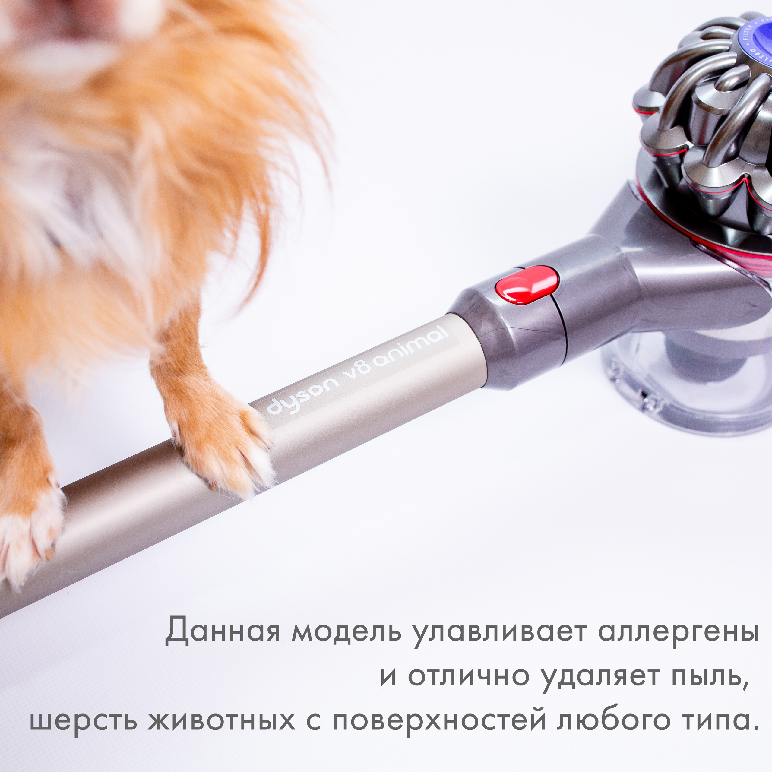 WB Ozon. Контент–фотограф | Леся Лесная