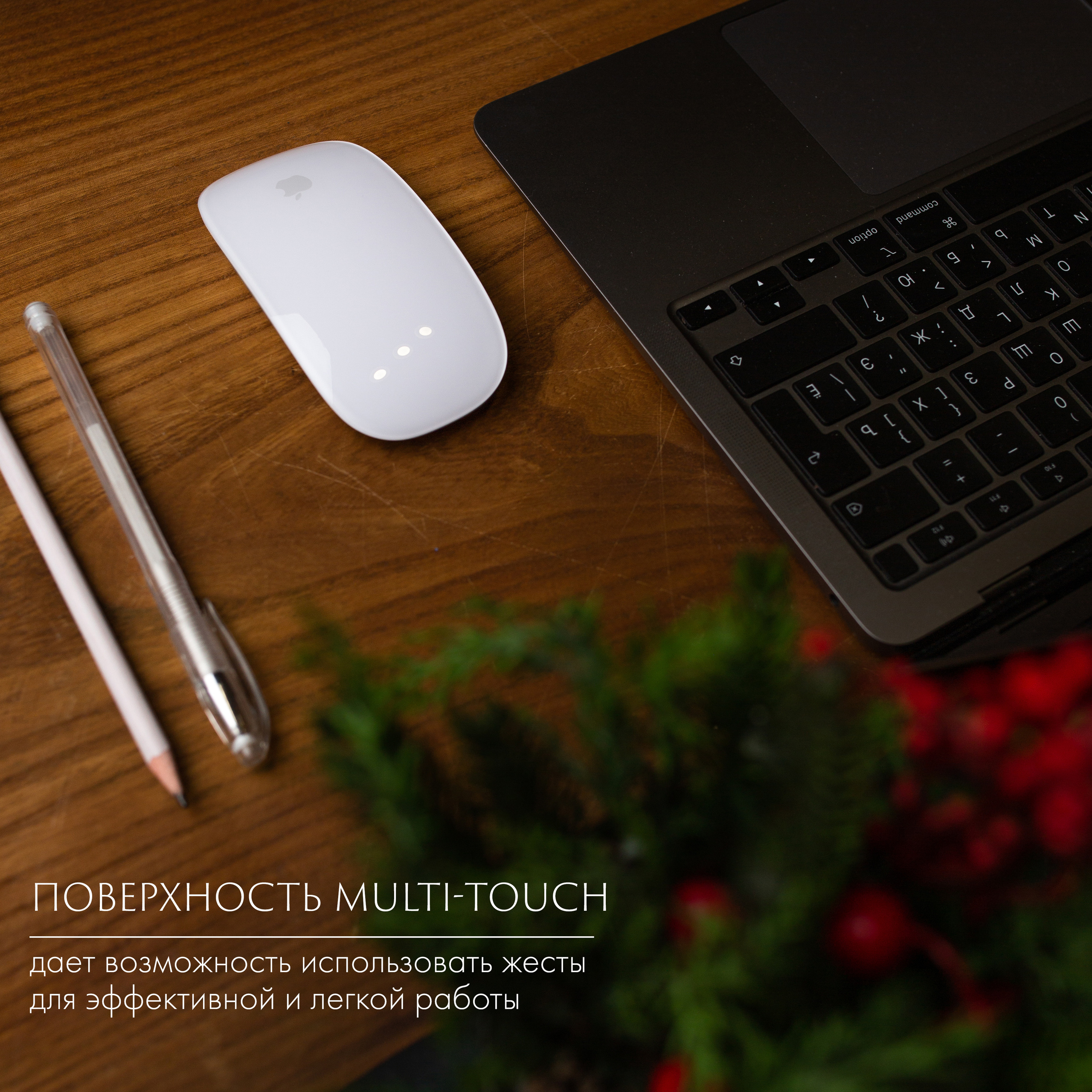 WB Ozon. Контент–фотограф | Леся Лесная