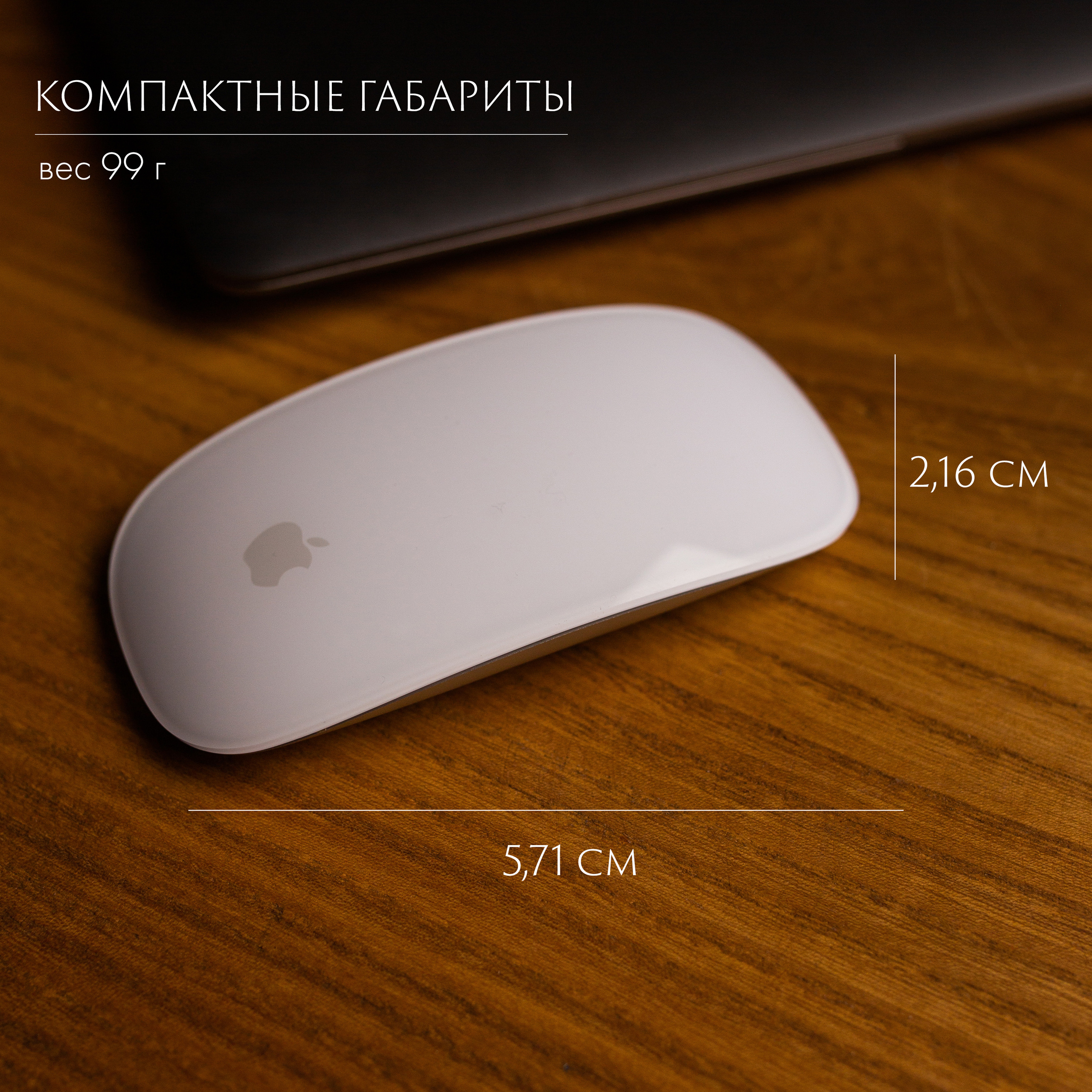 WB Ozon. Контент–фотограф | Леся Лесная