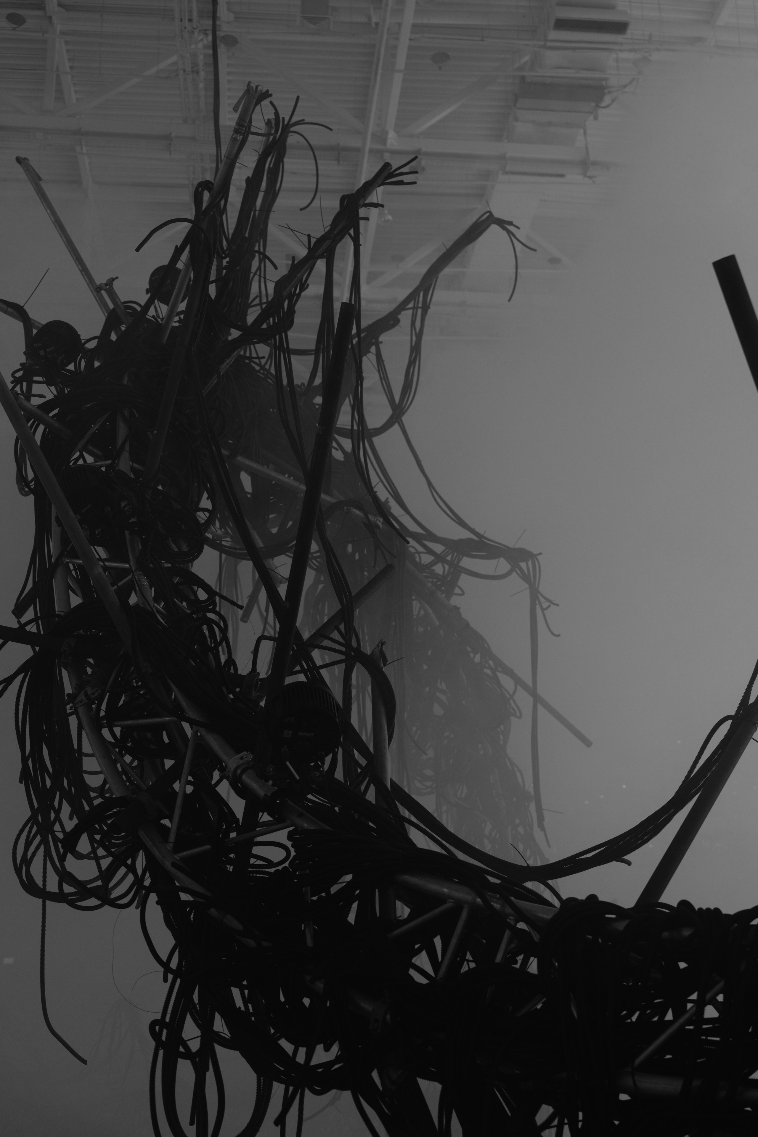 PANTERRA, CHRONOMORPH 001. @tomrus: Рустам Шагиморданов — фотограф