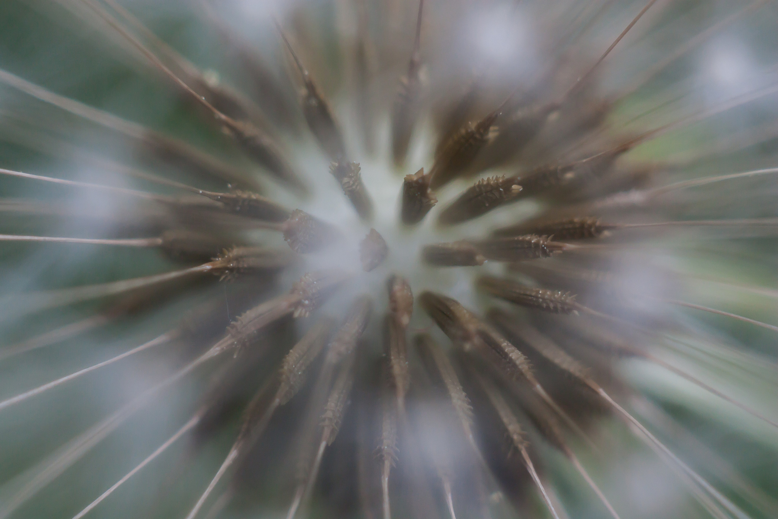 Макро. ZAGLADIN Bureau