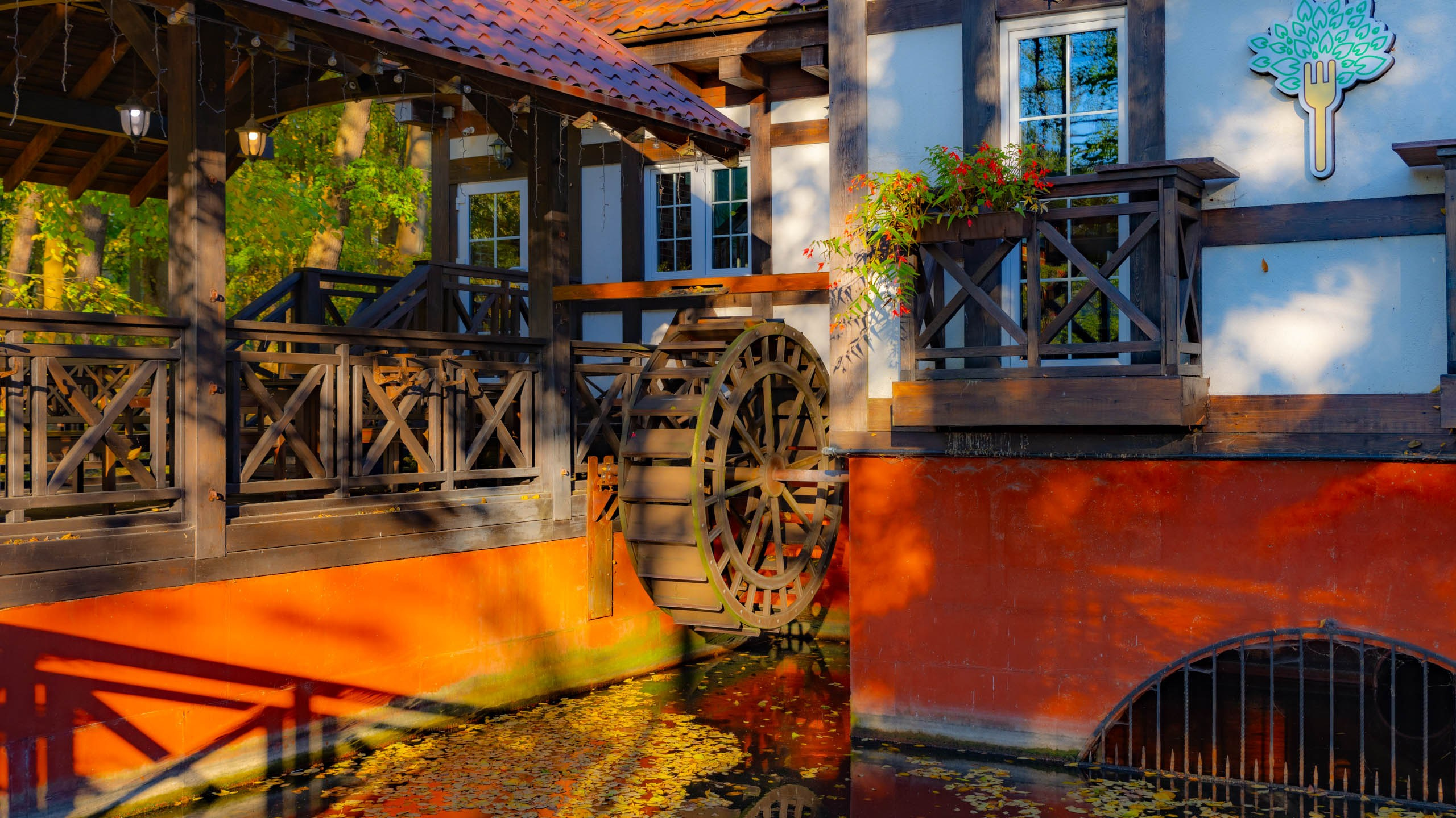 2024 10 Зеленоградск, Светлогорск, Куршская коса. Фотографии