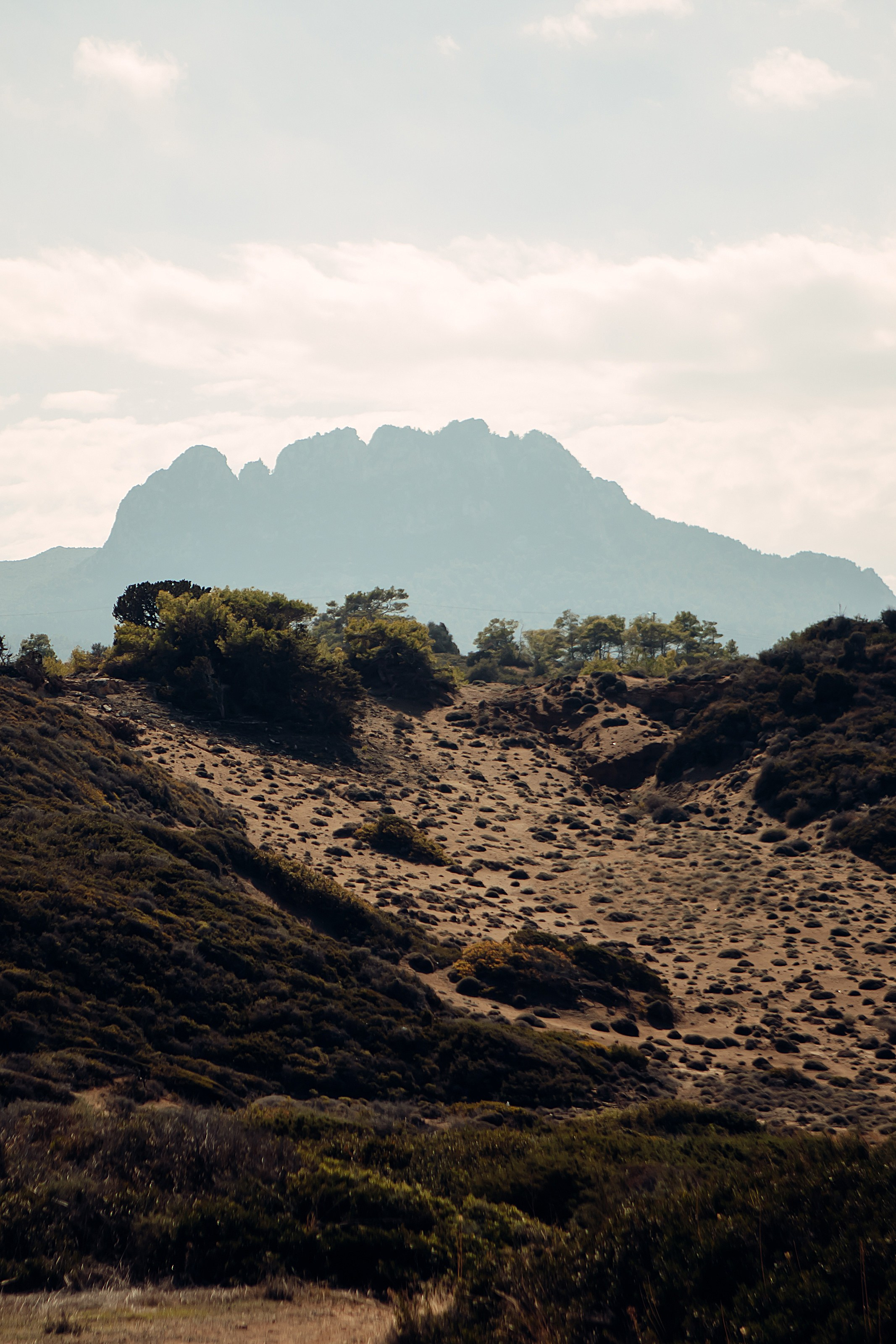 V&A. Фотограф в Батуми Павел Шарников