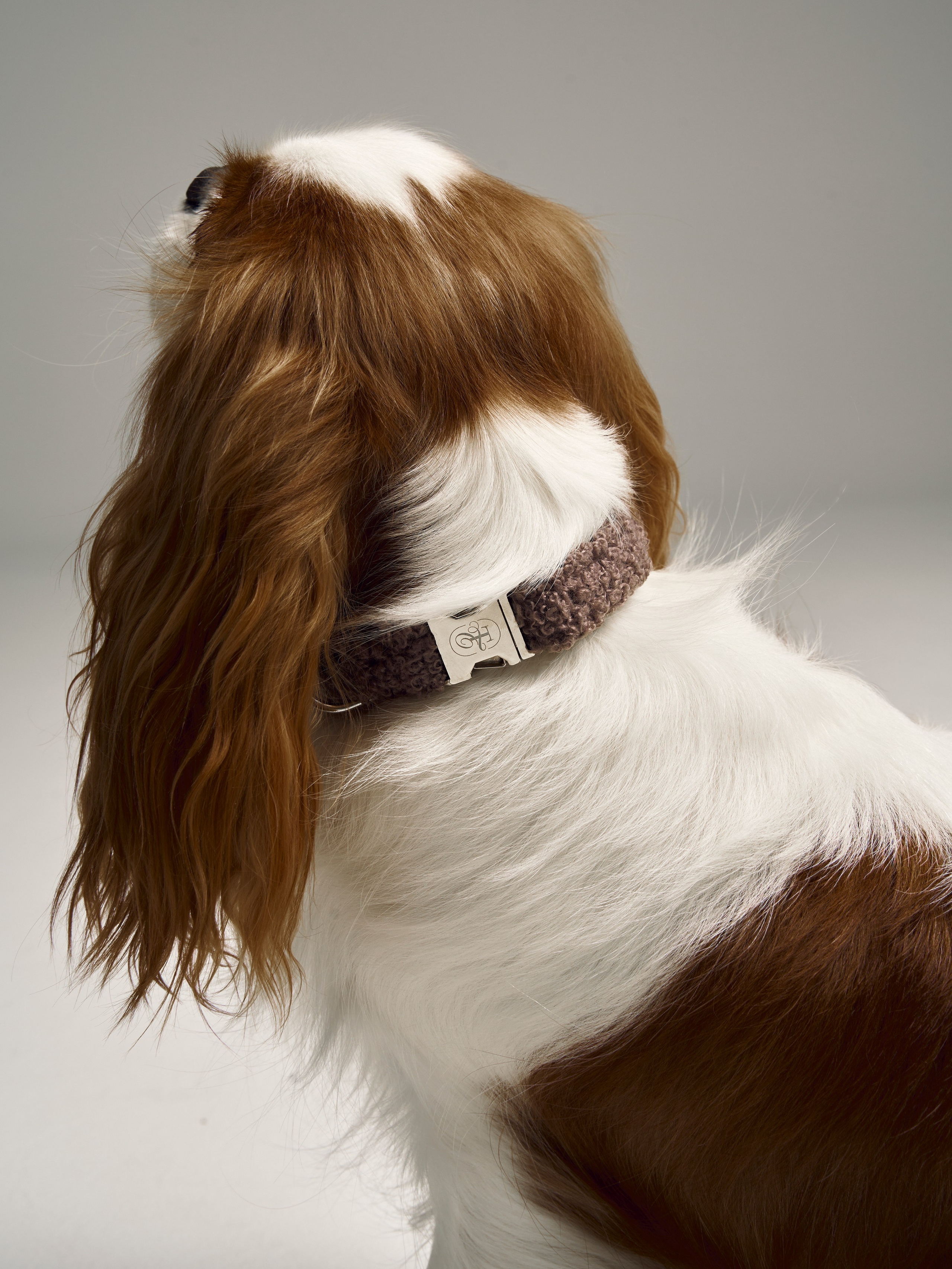 TEDDY’S treasures commercial. Anastasia Patshina