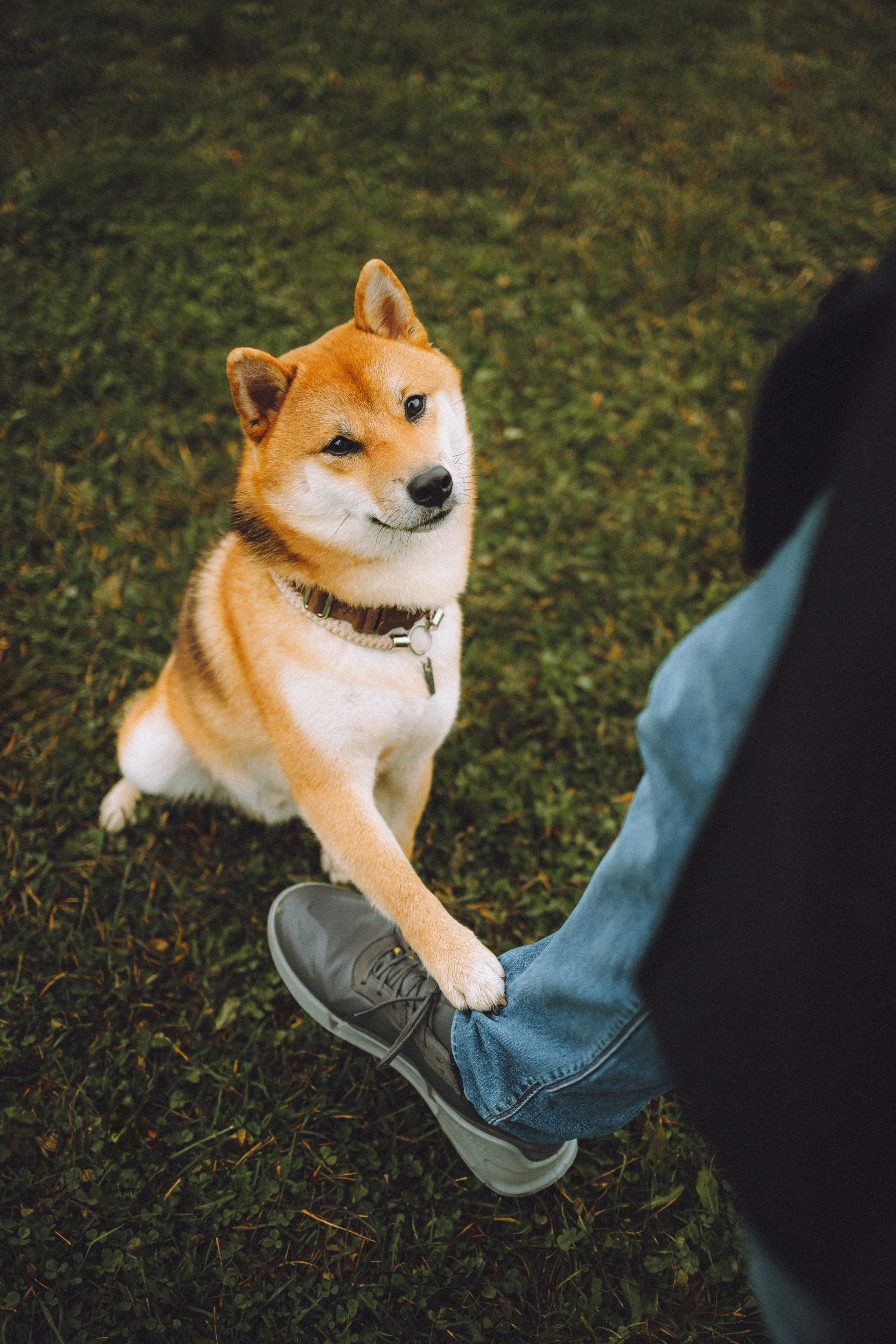 Настя, Юра и Скай