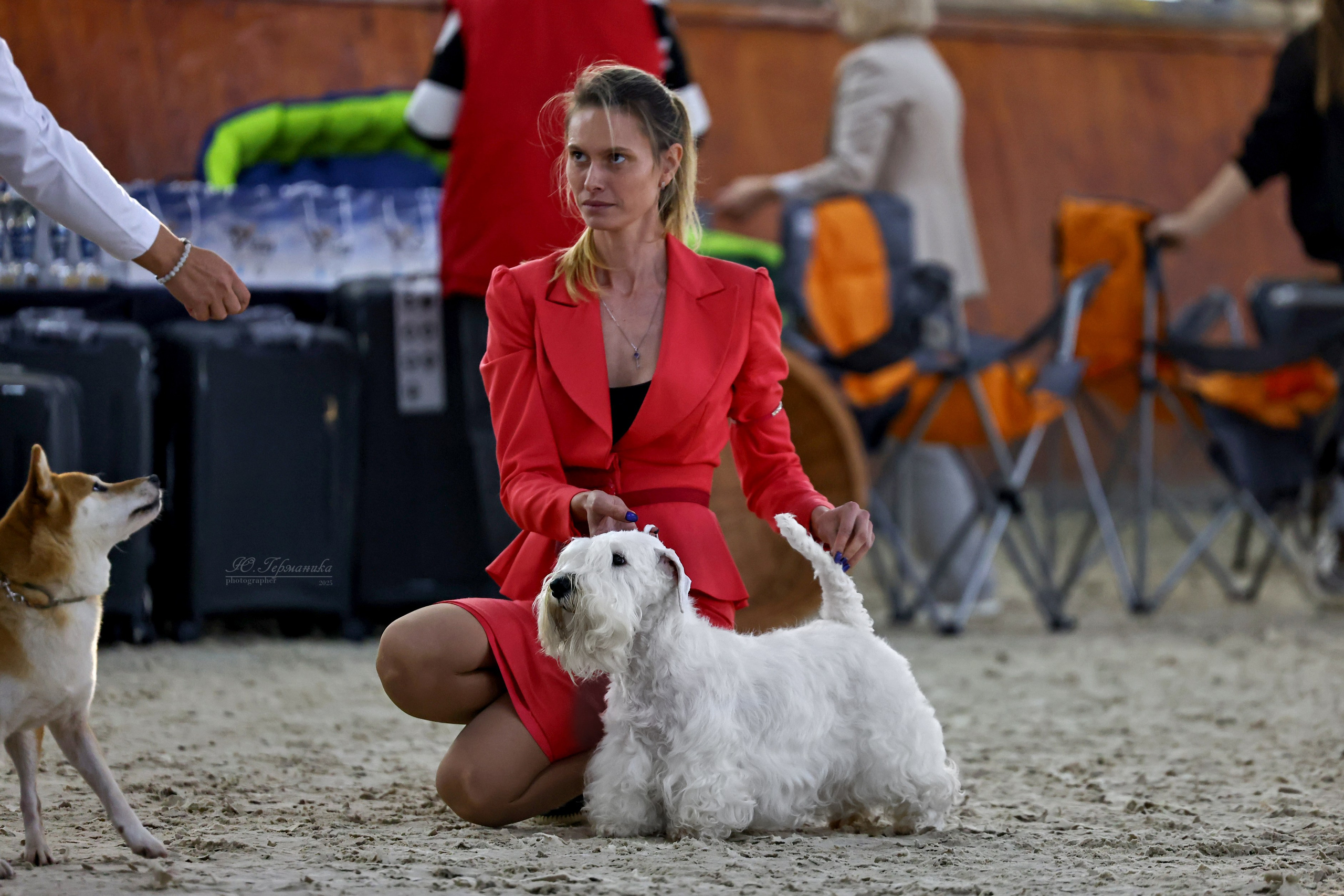 Астана 2хCACIB 26-28.09.2025. Фотограф-анималист Юлия Германика