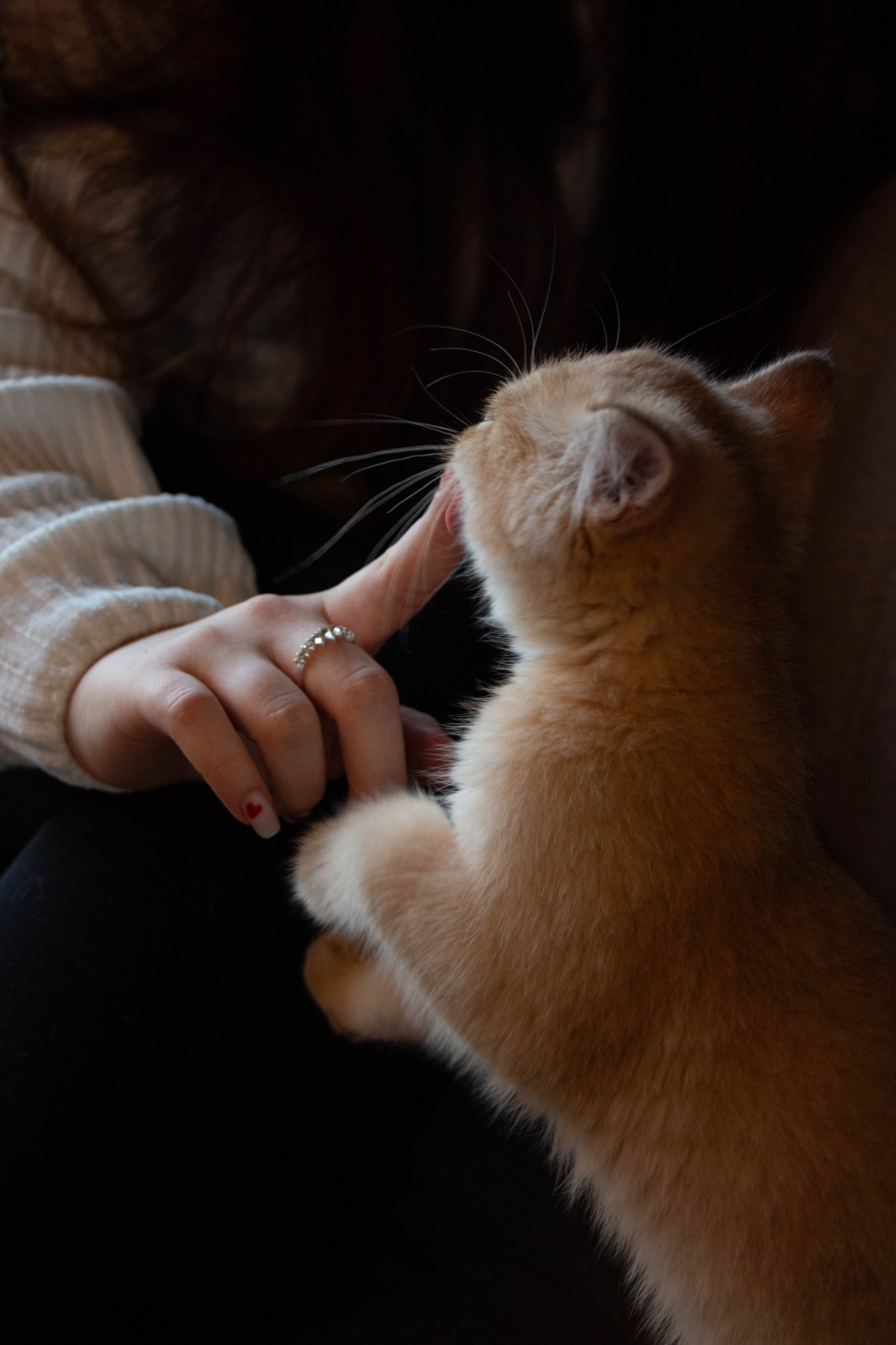 MILANA & RUFUS. Бережно сохраняю ваши чувства и истории на своих фотографиях