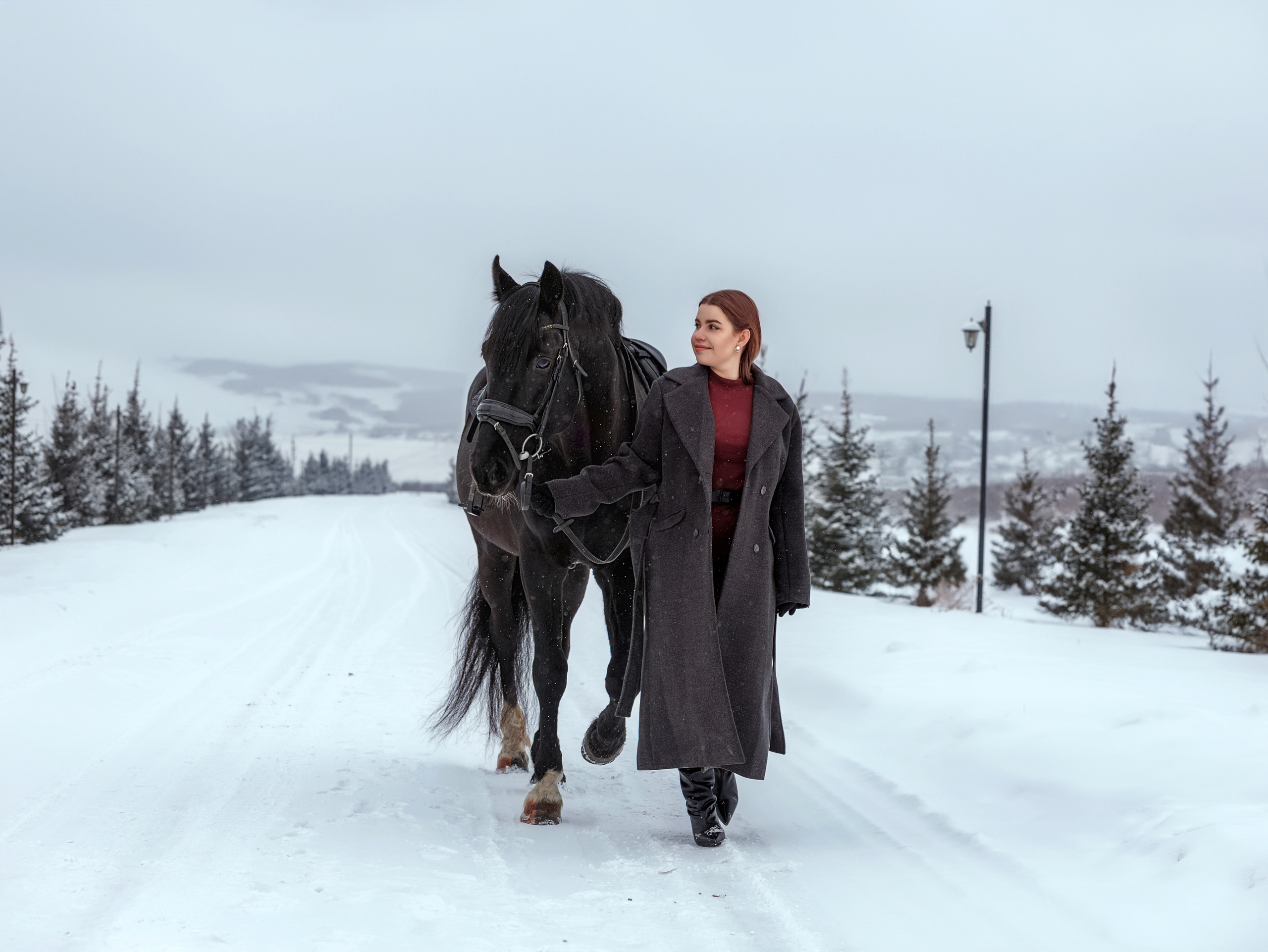 Лошади Емельяново. Конный фотограф в Красноярске — Любовь Похабова