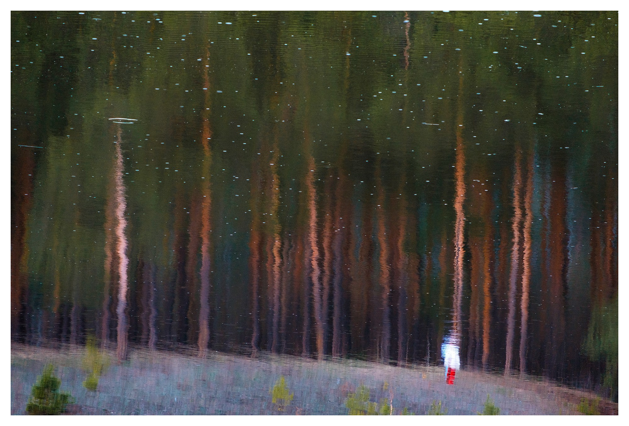 Природа. Фотограф в городе Каменск-Уральский — Метелёв Андрей