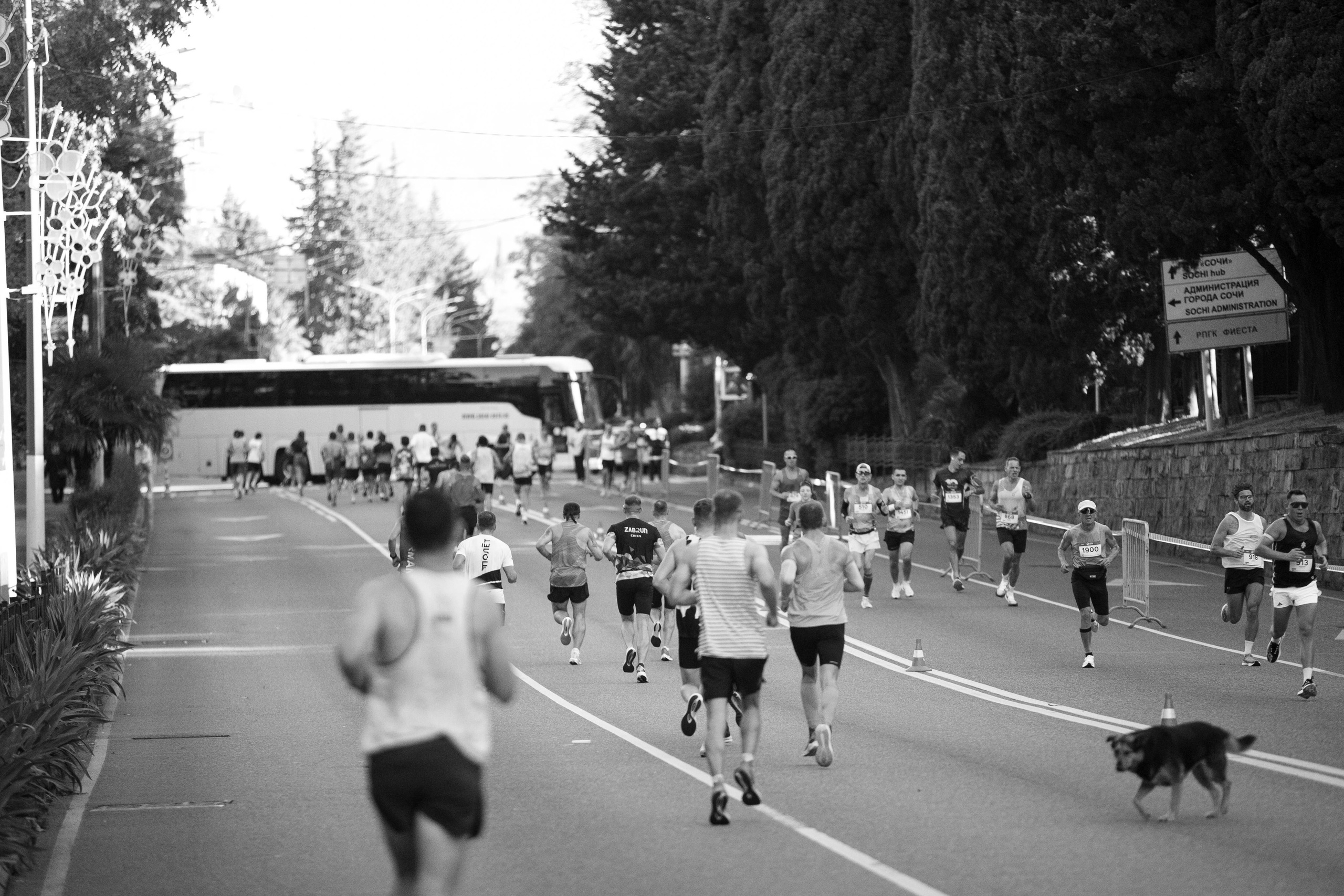 Сочи Марафон по бегу — 2025.11.03. Фотограф из Сочи Регина Труфанова