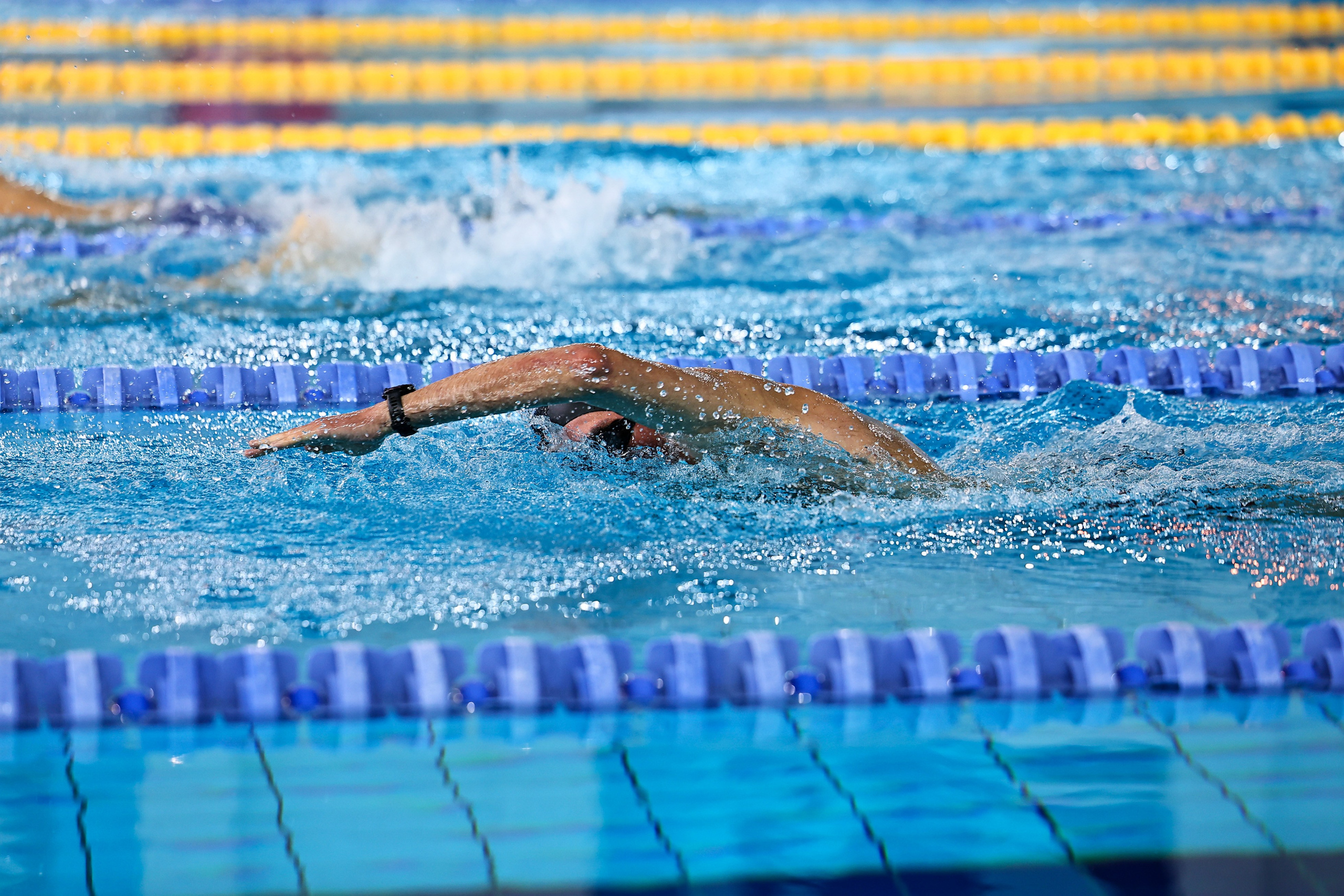 ДЗМ Плавание 2026. Фототерапевт Ева Бунеева