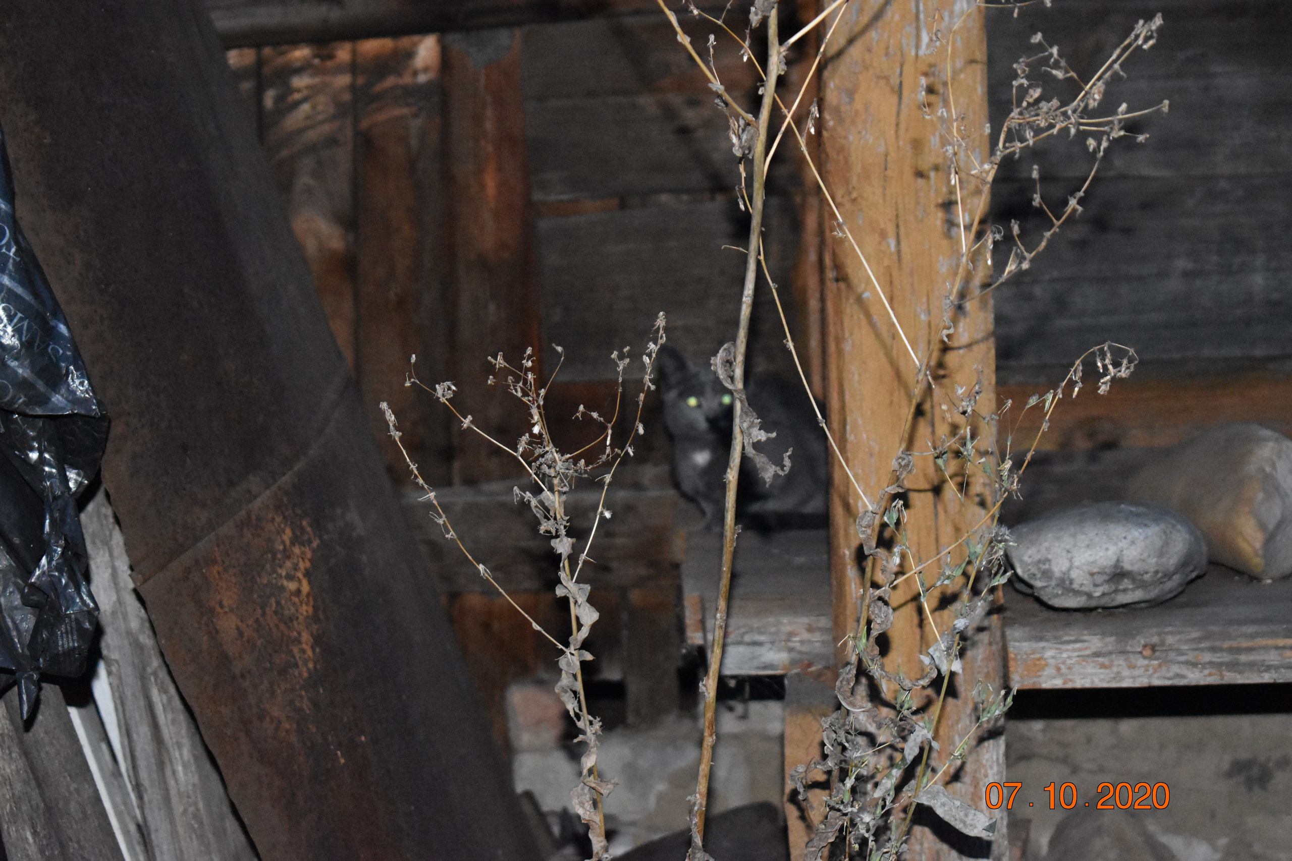 Крым, зарисовки. Созерцатель. фотографирую что тронуло и впечатлило. самарская область