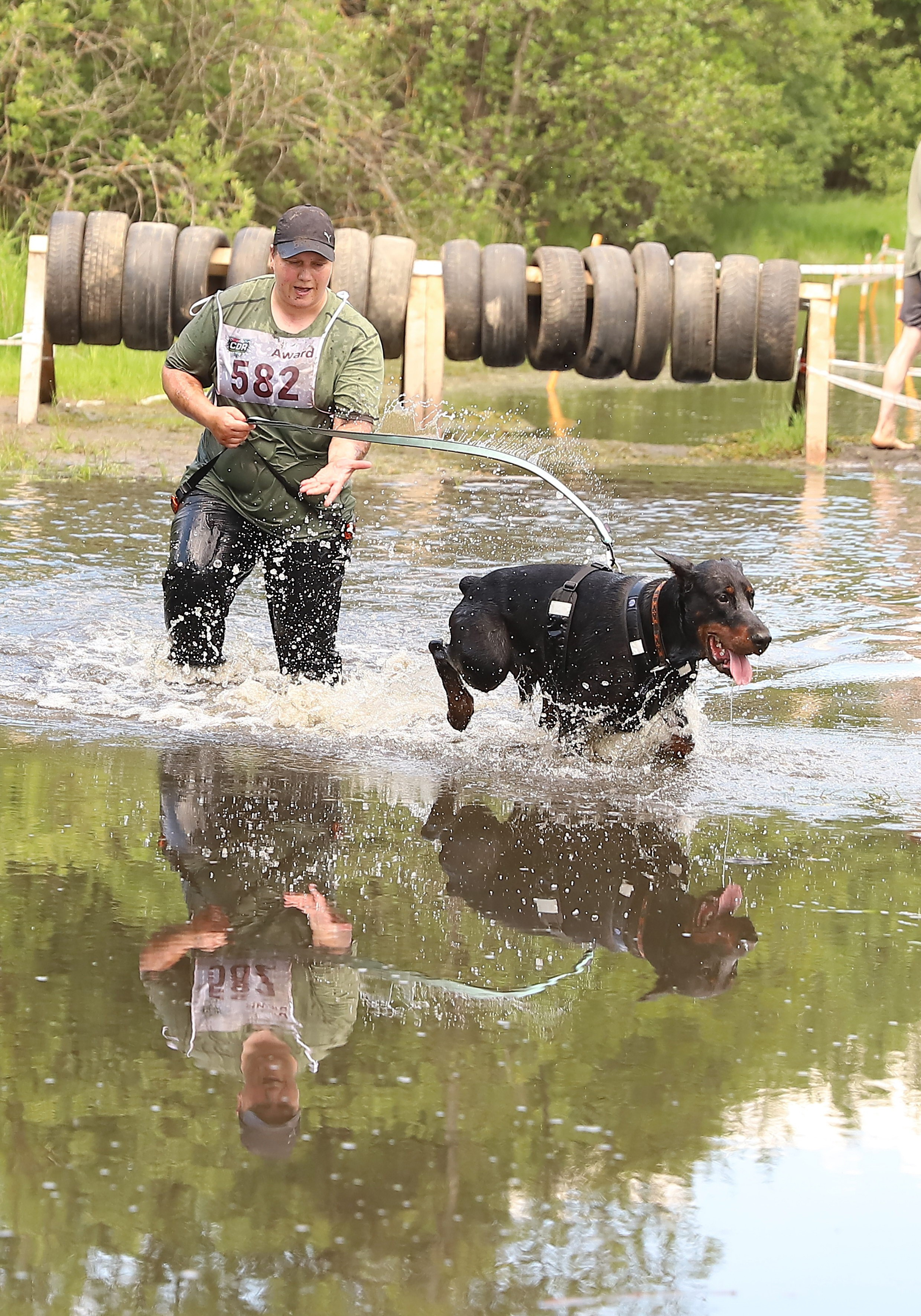Хвостатый драйв. Семейный и детский фотограф в Москве и МО Елена Москвичева