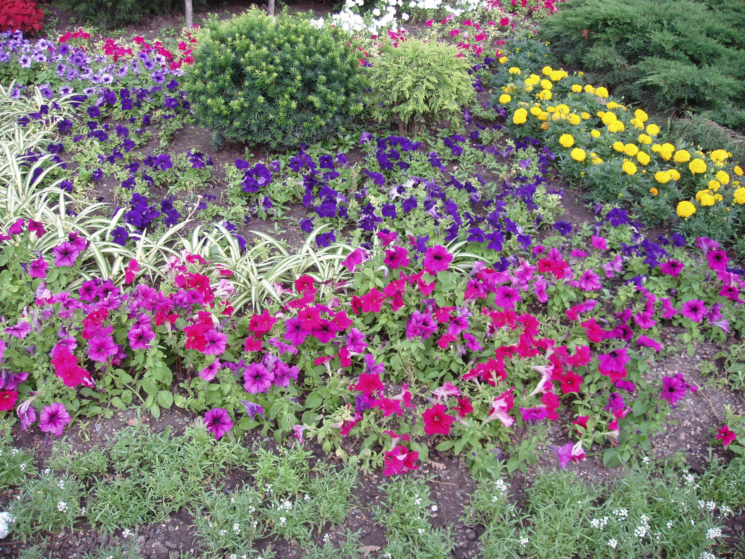 Кабардинка 05-19.07.2013. Семейный, Свадебный фотограф СПБ Питер— Романова Екатерина