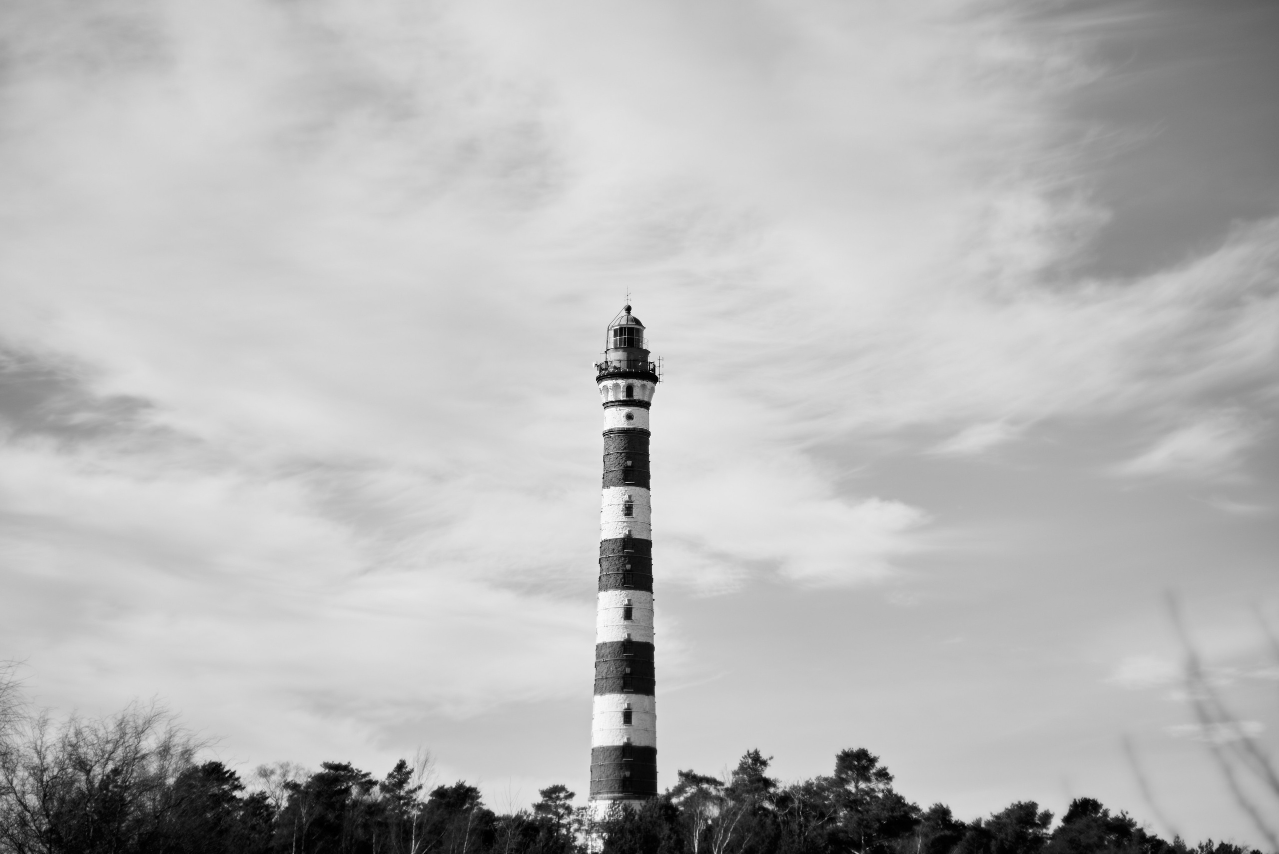Mesto Sily. Свадебный фотограф Санкт-Петербург DanyaPhotoart