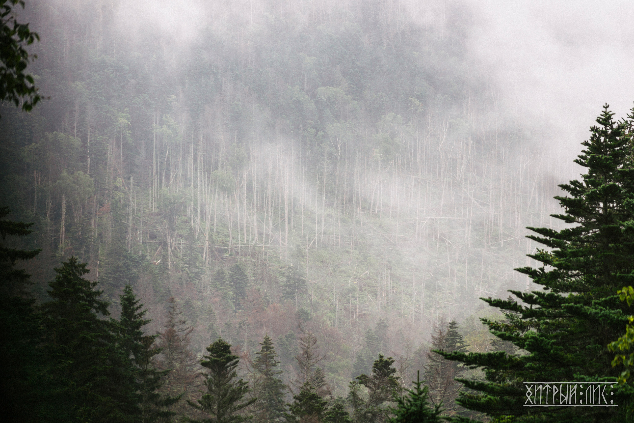 Сахалин. Фотограф-путешественник Самойлов Максим «Sly Fox»