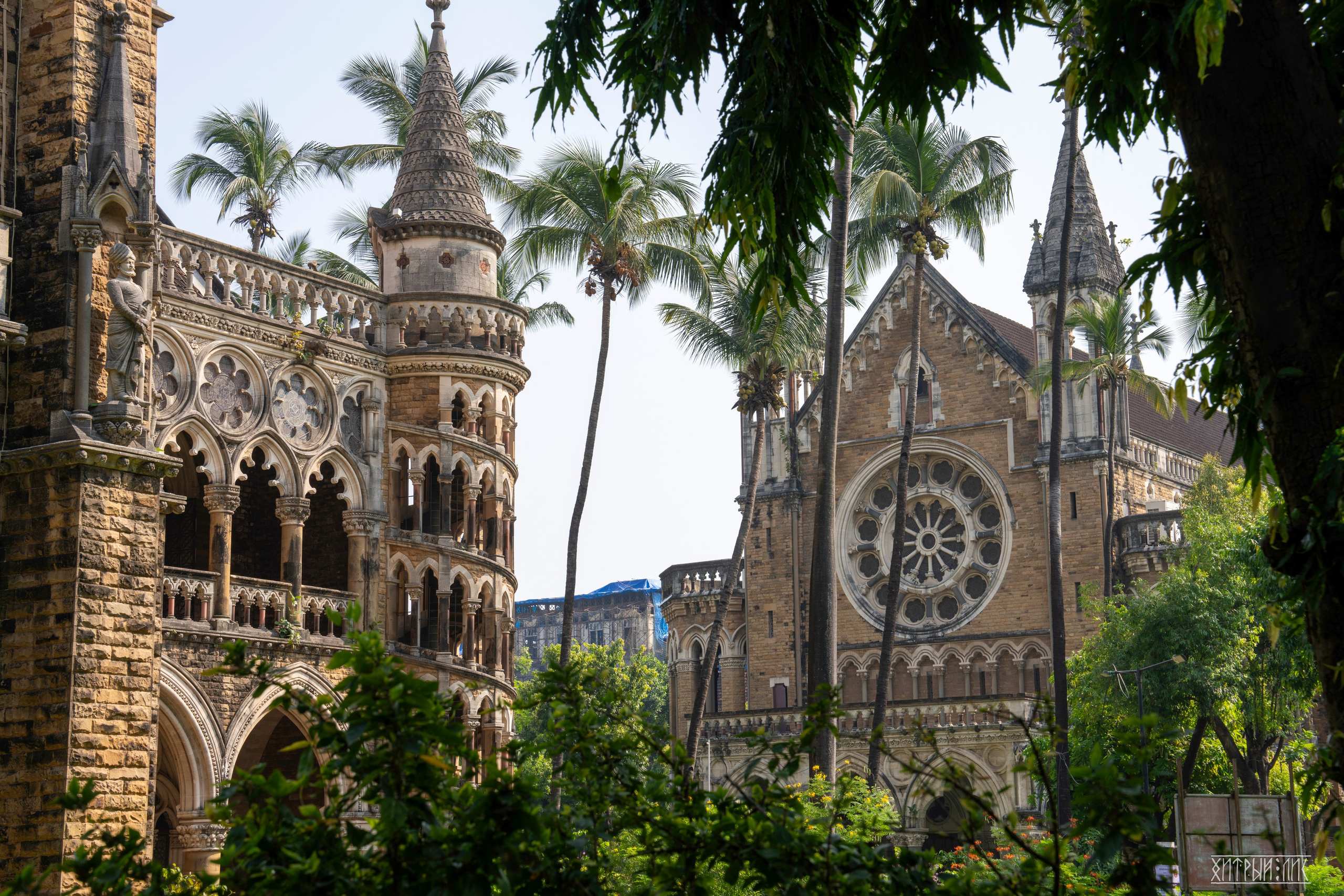 Гоа-Мумбаи. Фотограф-путешественник Самойлов Максим «Sly Fox»