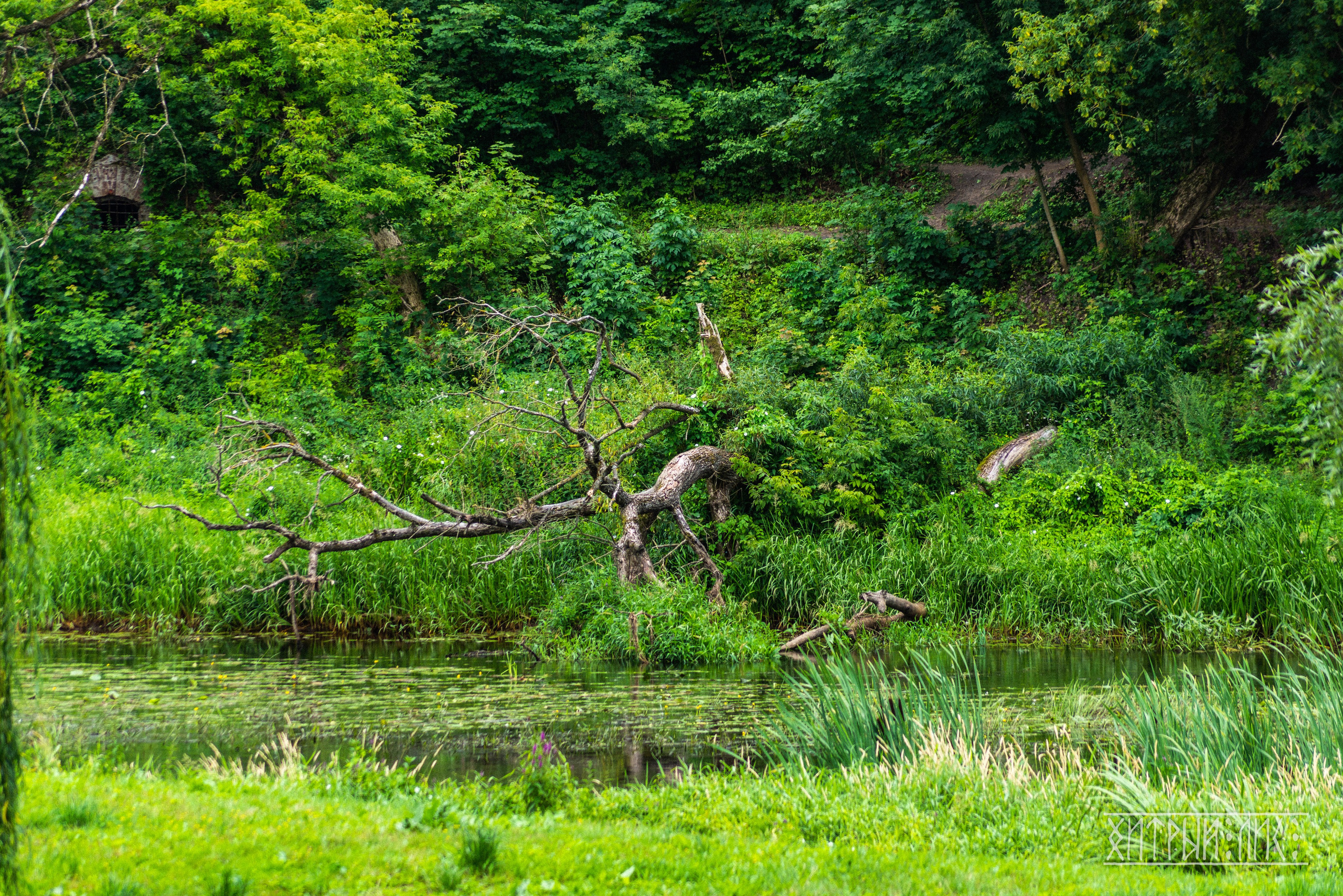 Беларусь. Фотограф-путешественник Самойлов Максим «Sly Fox»