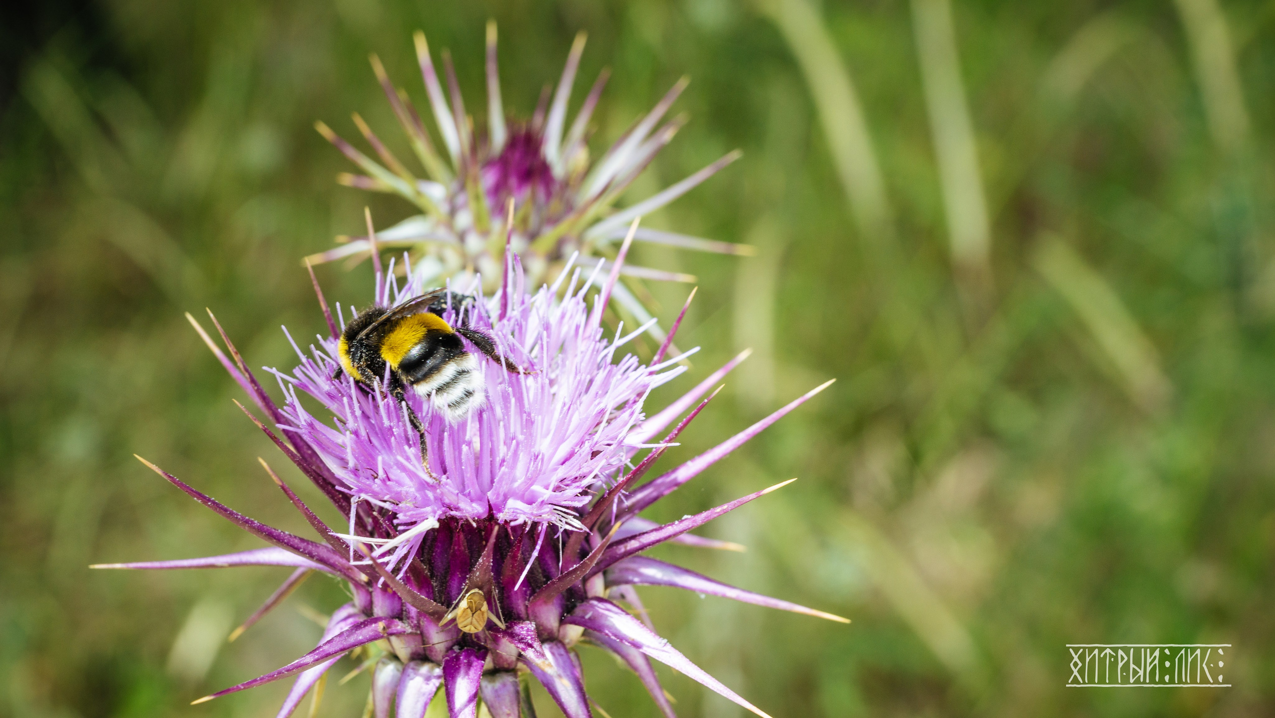 Кипр. Фотограф-путешественник Самойлов Максим «Sly Fox»