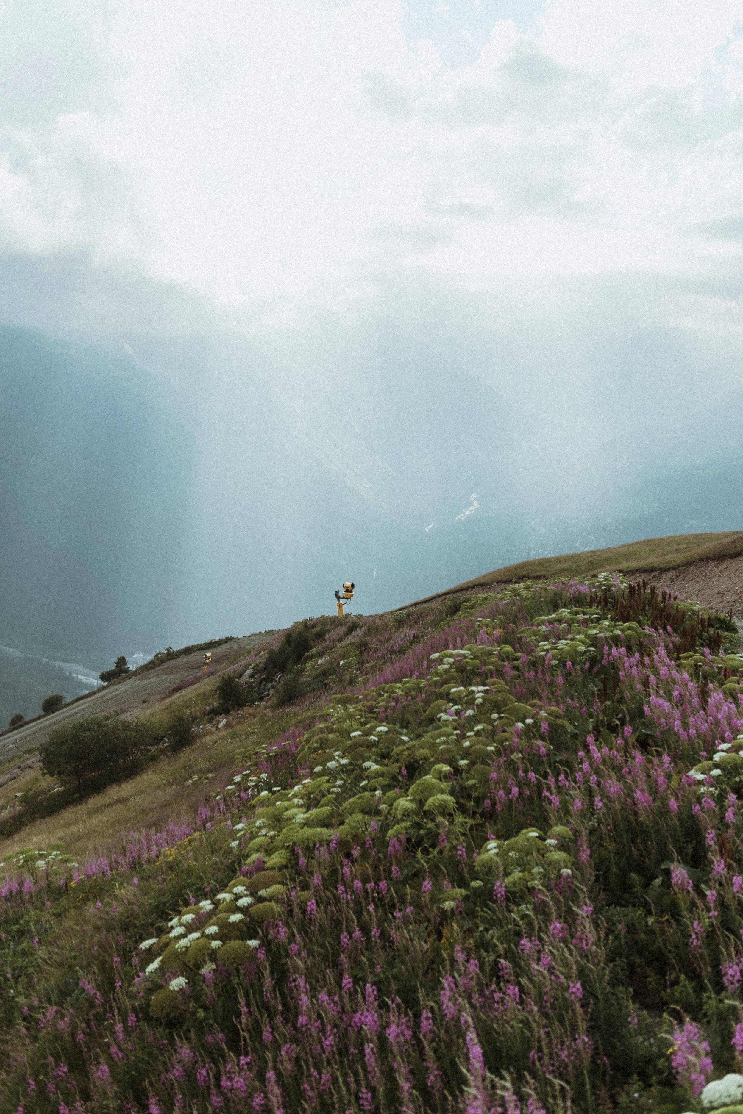 В ПОЛЕТЕ НЕЖНОСТИ. Фотограф Настя Конник | Пятигорск | Эльбрус | Домбай | Архыз