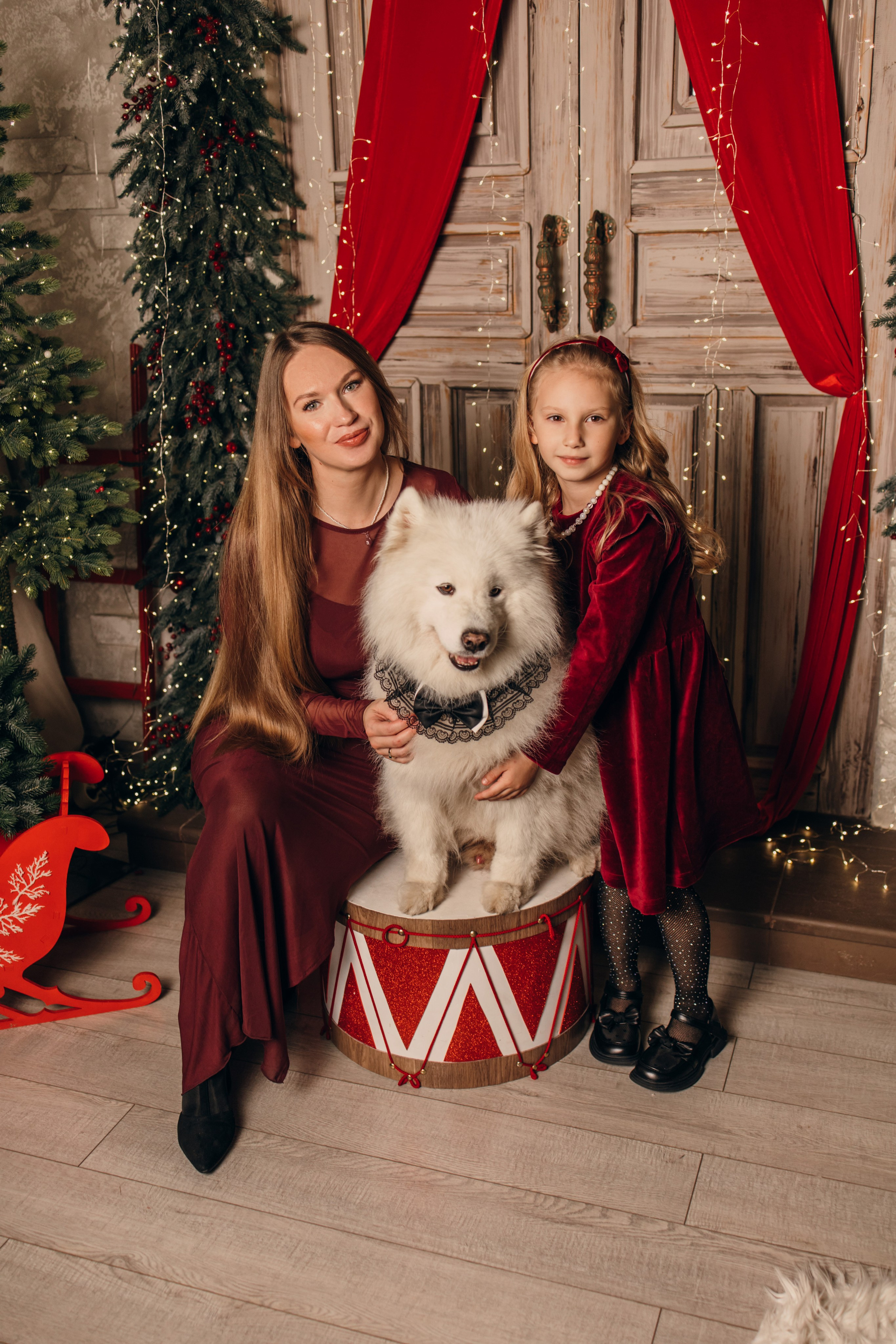 Новогодний самоед. Коновалова Ольга | фотограф в Пензе и Заречном