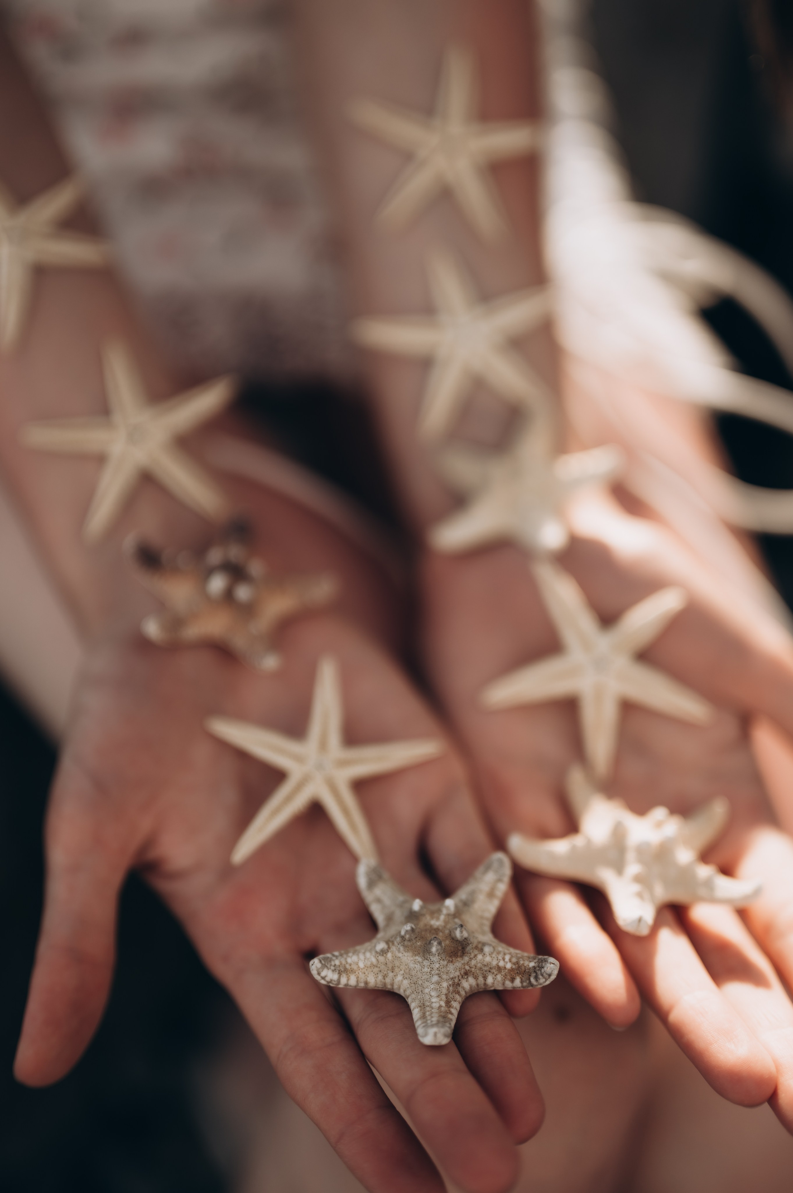 Анастасия. Фотограф Сочи Кисматова Анастасия