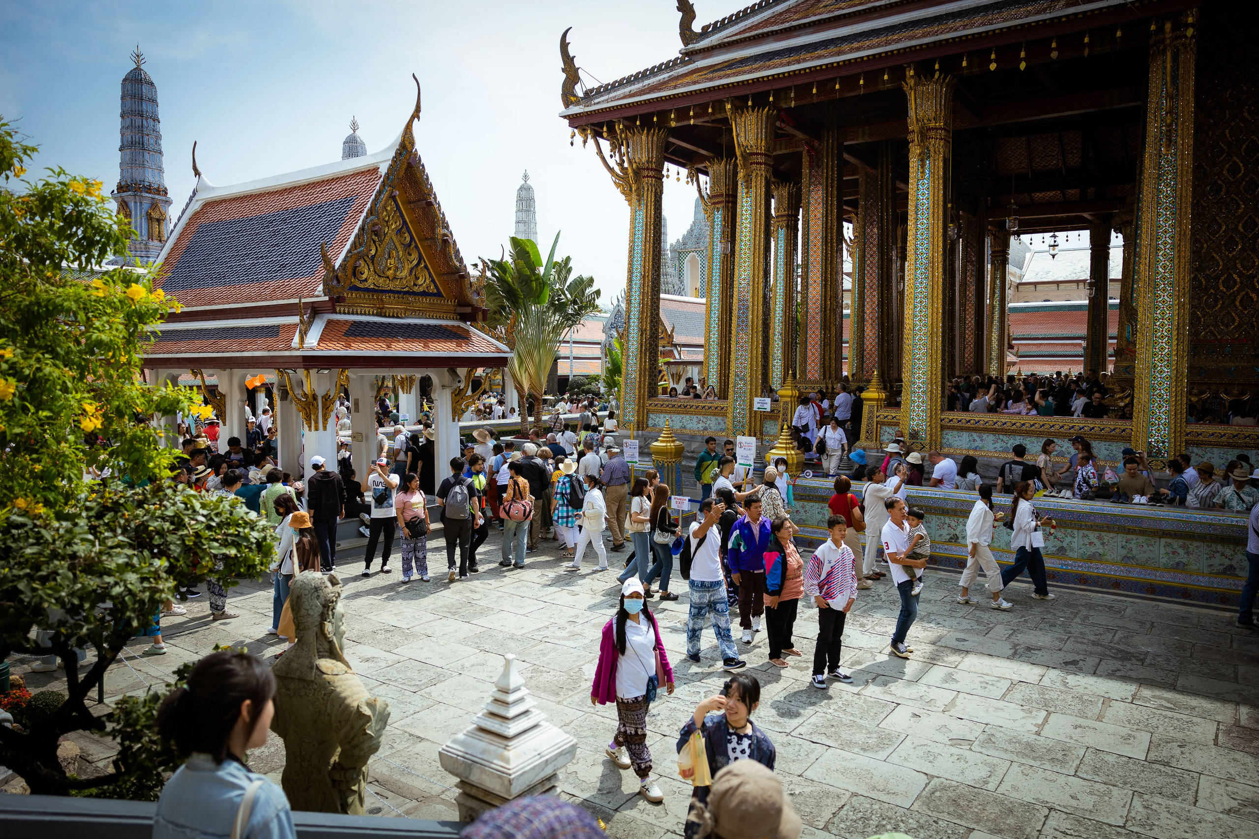 Таиланд (зима 2025). Фотограф Виноградов Константин