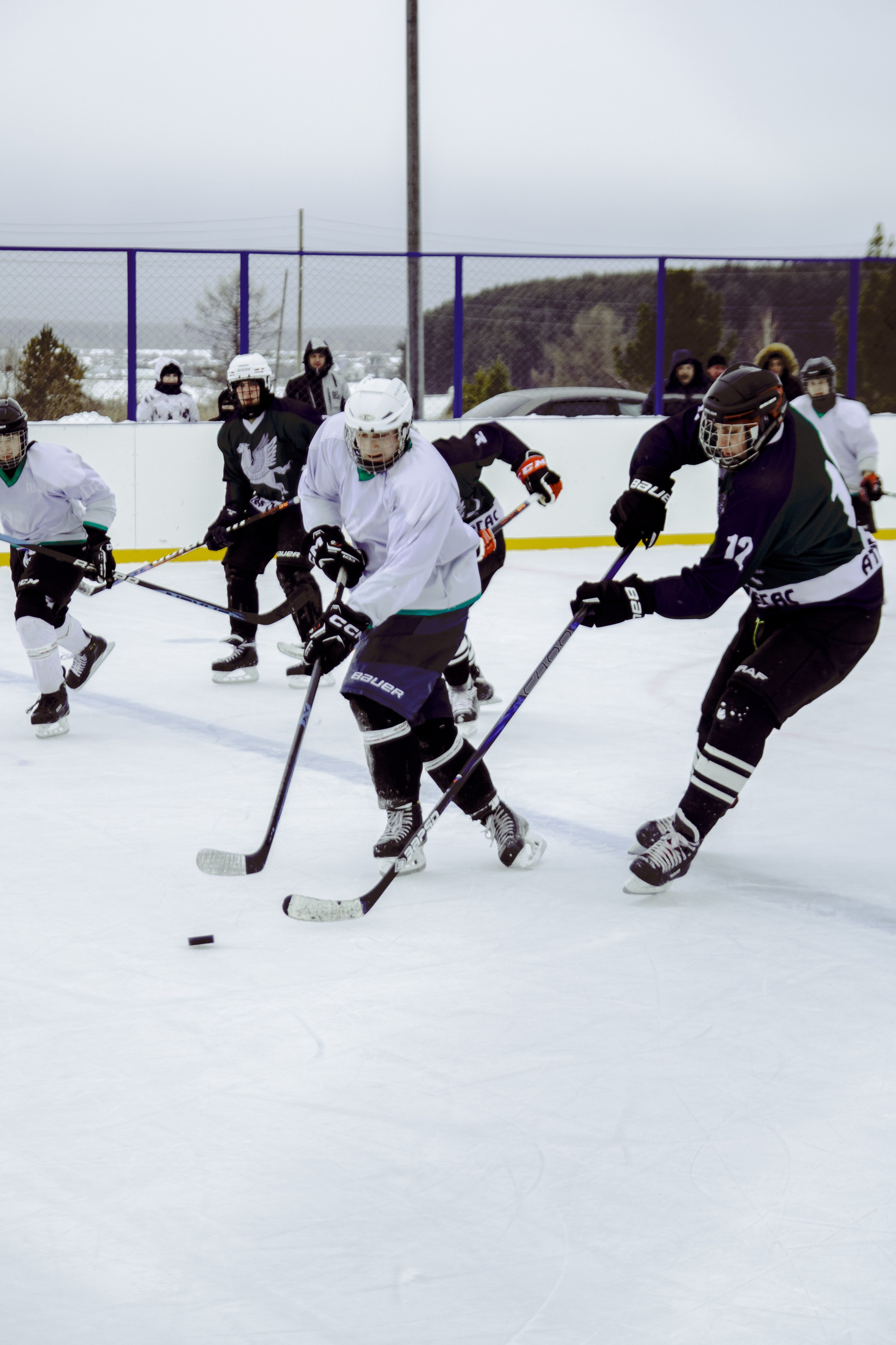 Хоккей 29.12.2024