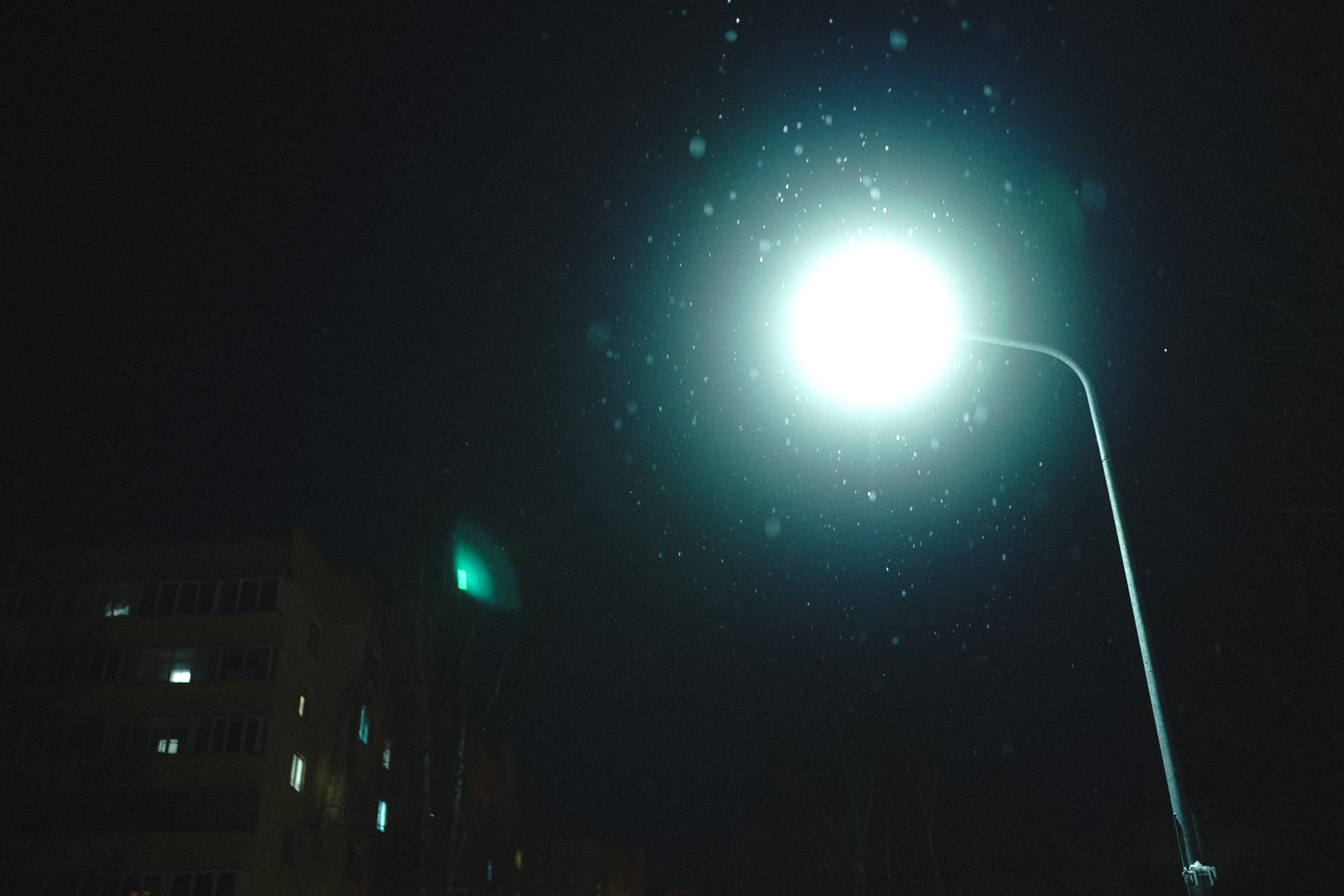 Фотодневник: в цвете. Фотограф Д. Куценков