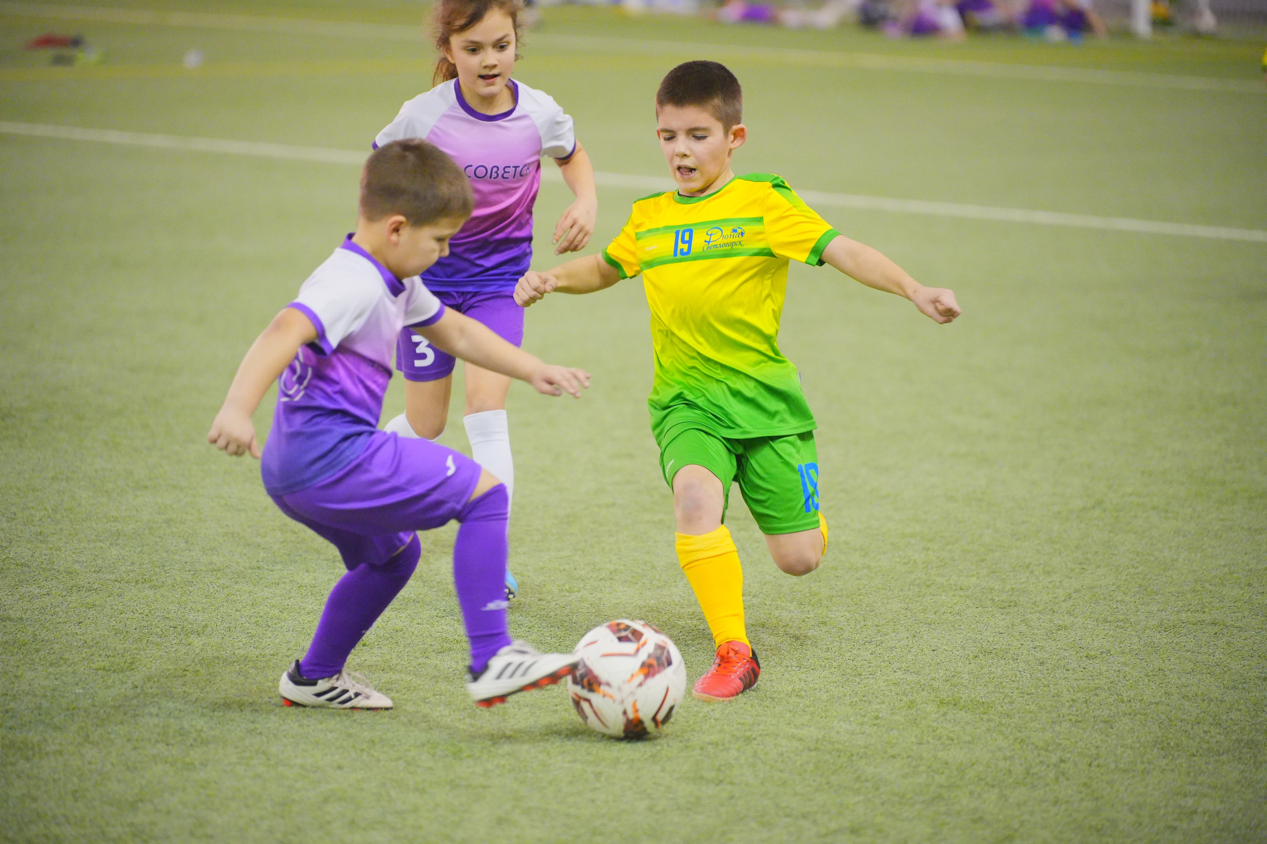 Спортивный репортаж. Репортажный фотограф в Калининграде Морозов Кирилл