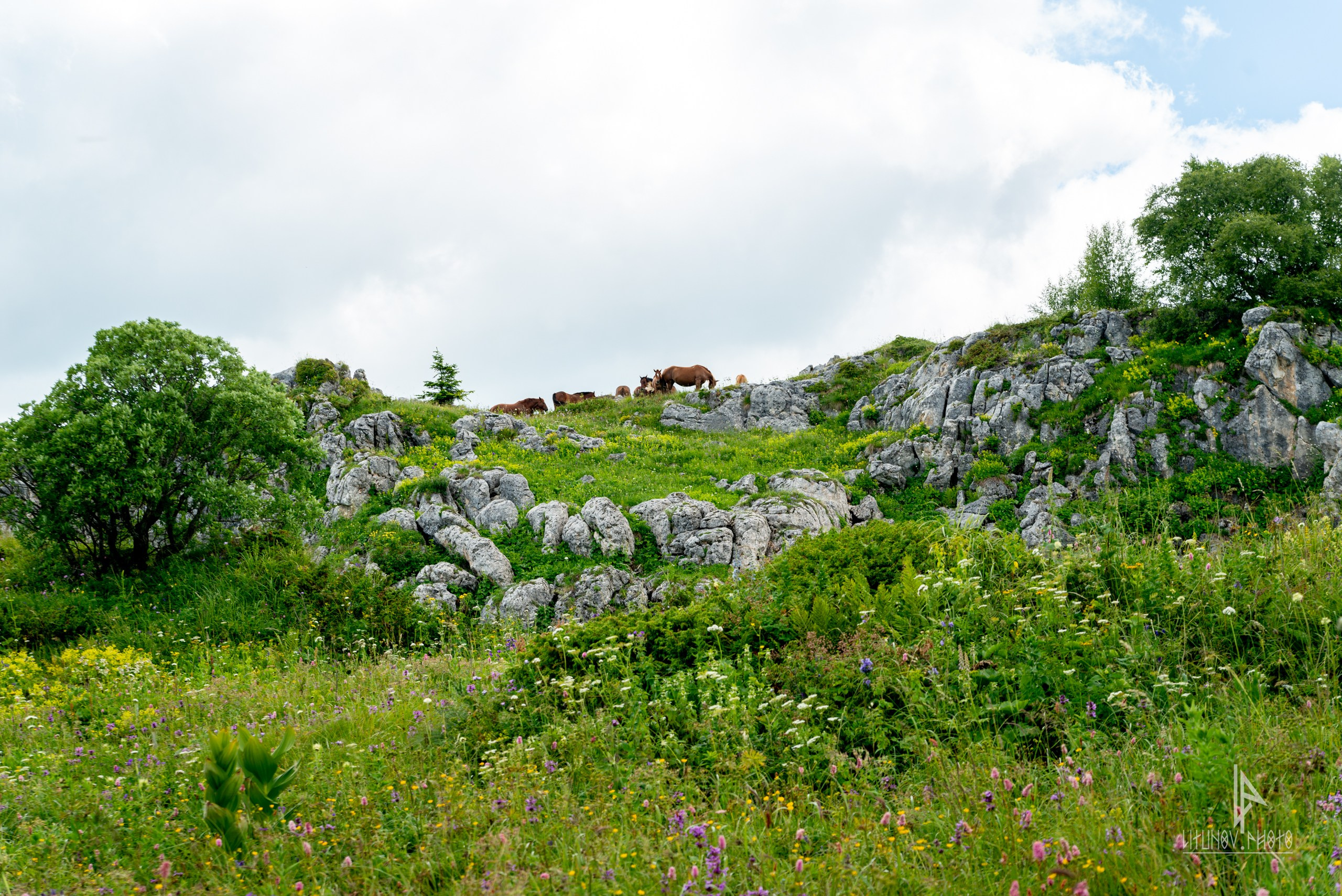 Адыгея. Спортивный и репортажный фотограф Дмитрий Литунов Москва
