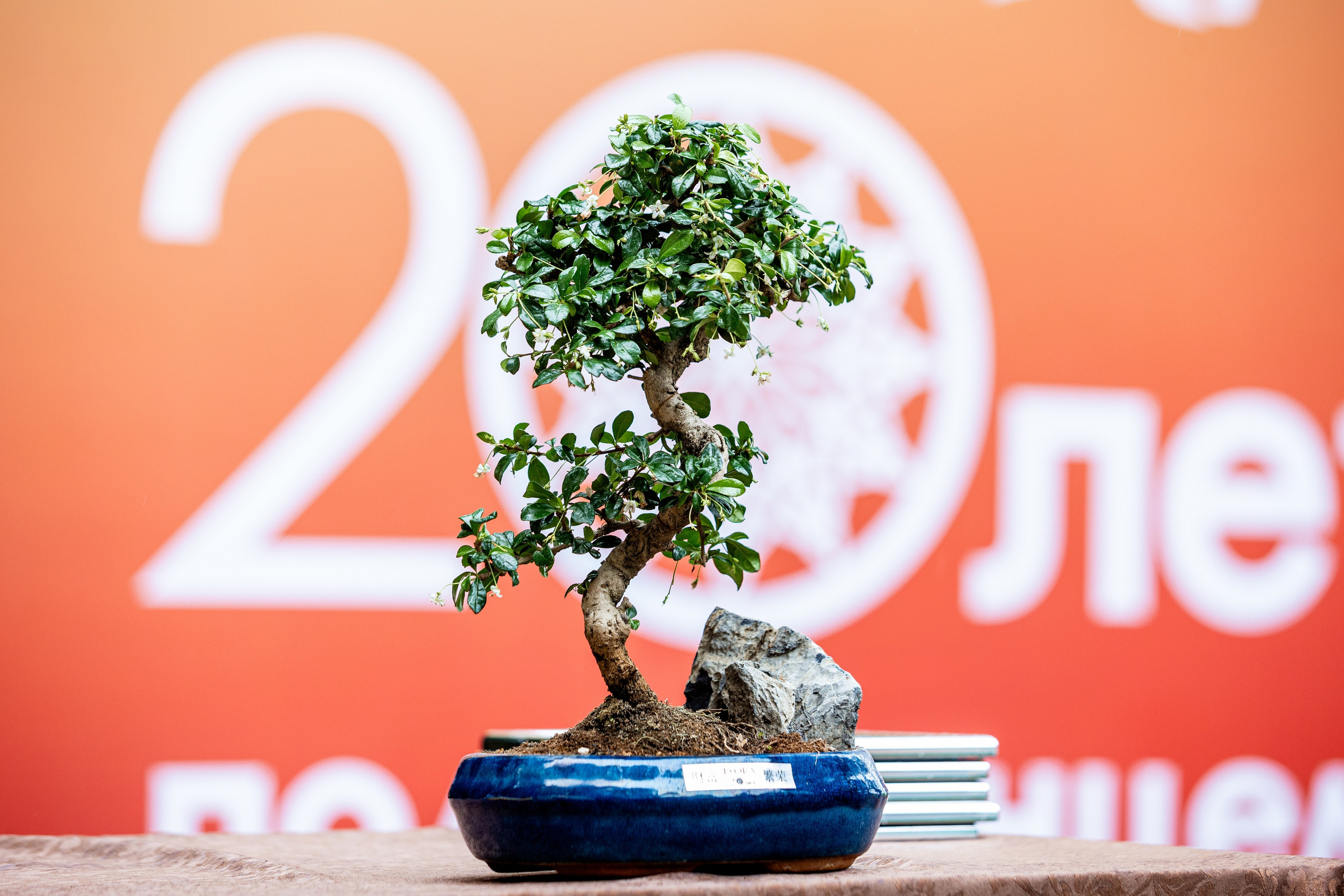 Корпоратив iXORA. Фотограф Нижний Новгород