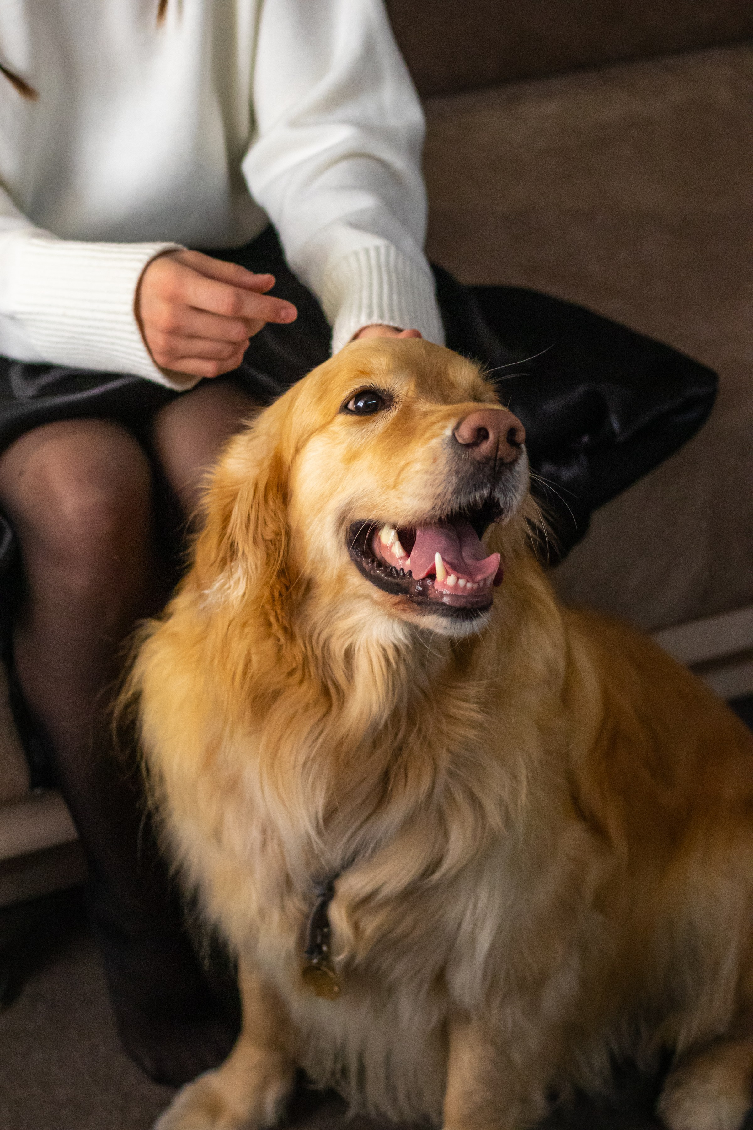 «Центральный» отель, г. Барнаул. Контент фотограф Дмитрий Борисов