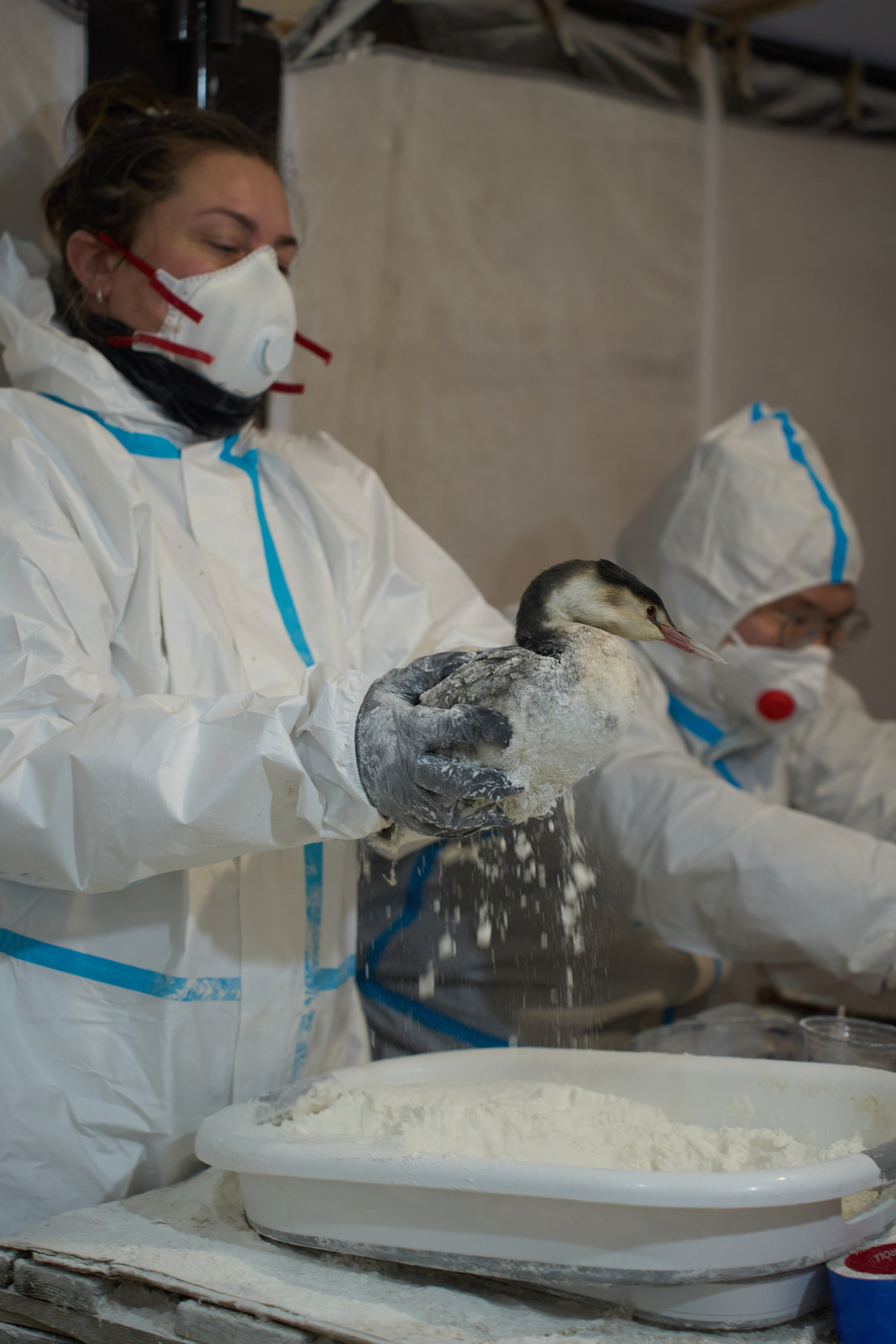 Black Sea. Ksenia Arefieva