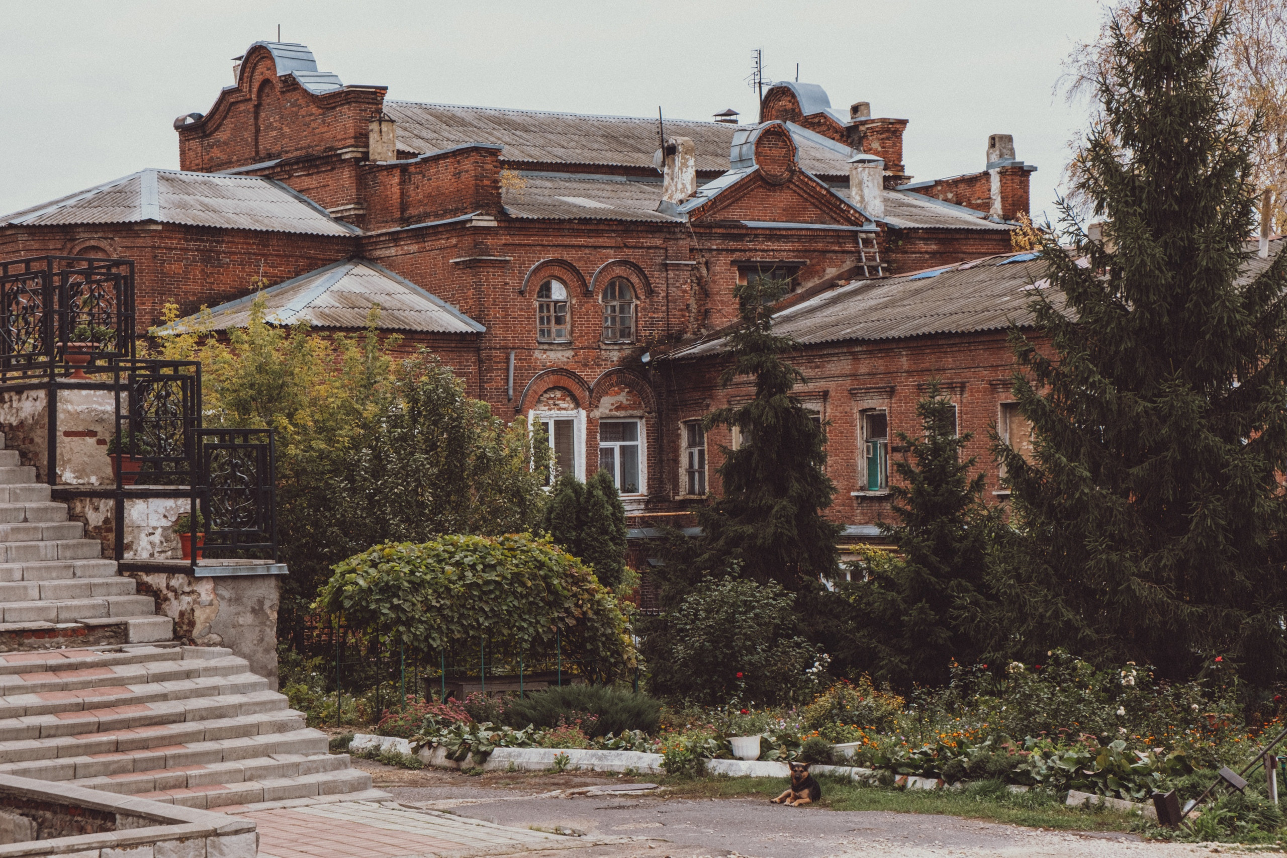 Мичуринск. Семейный, репортажный, арт, предметный фотограф в Липецке Олеся Межова